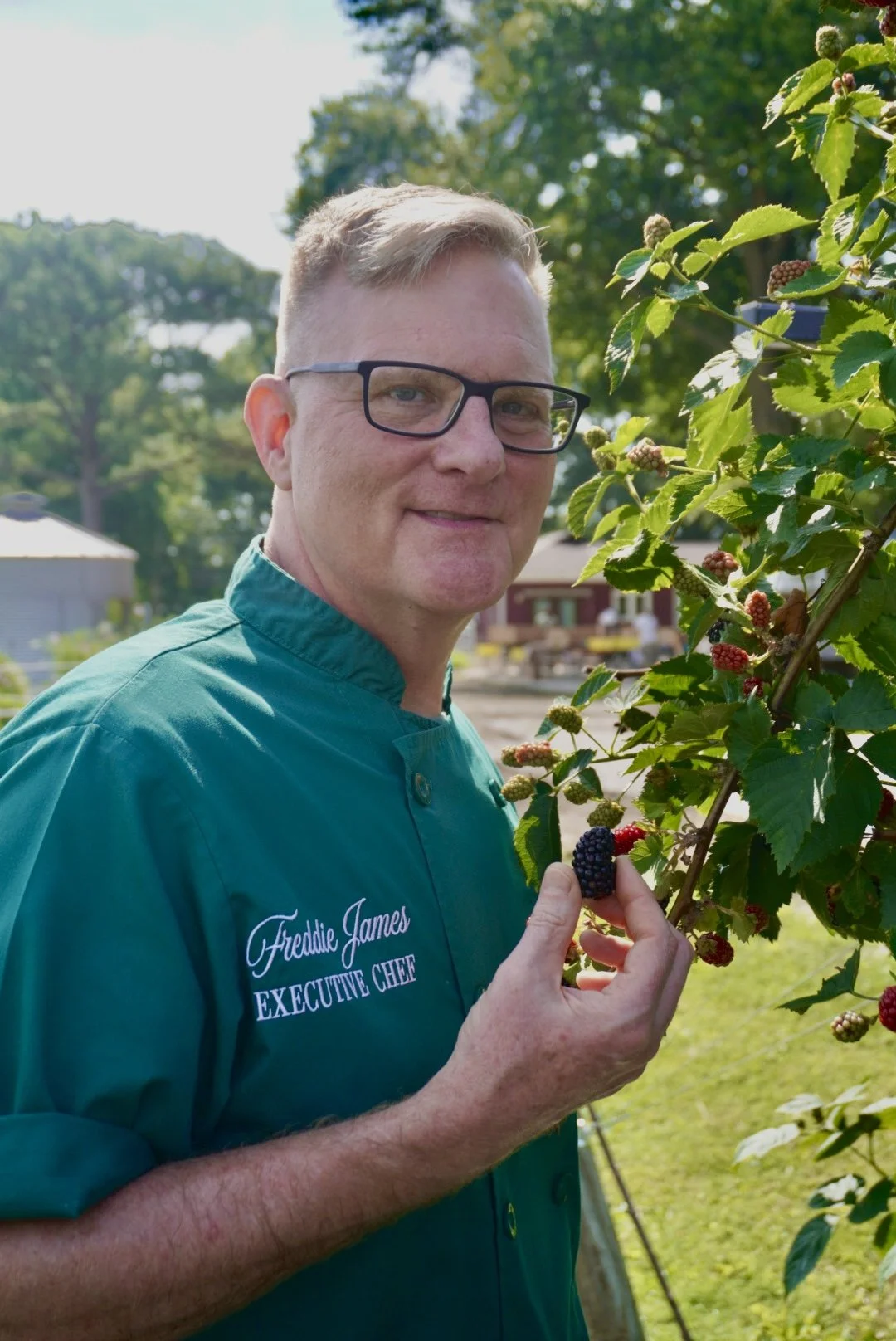 Executive Chef at Rustic Roots Sanctuary