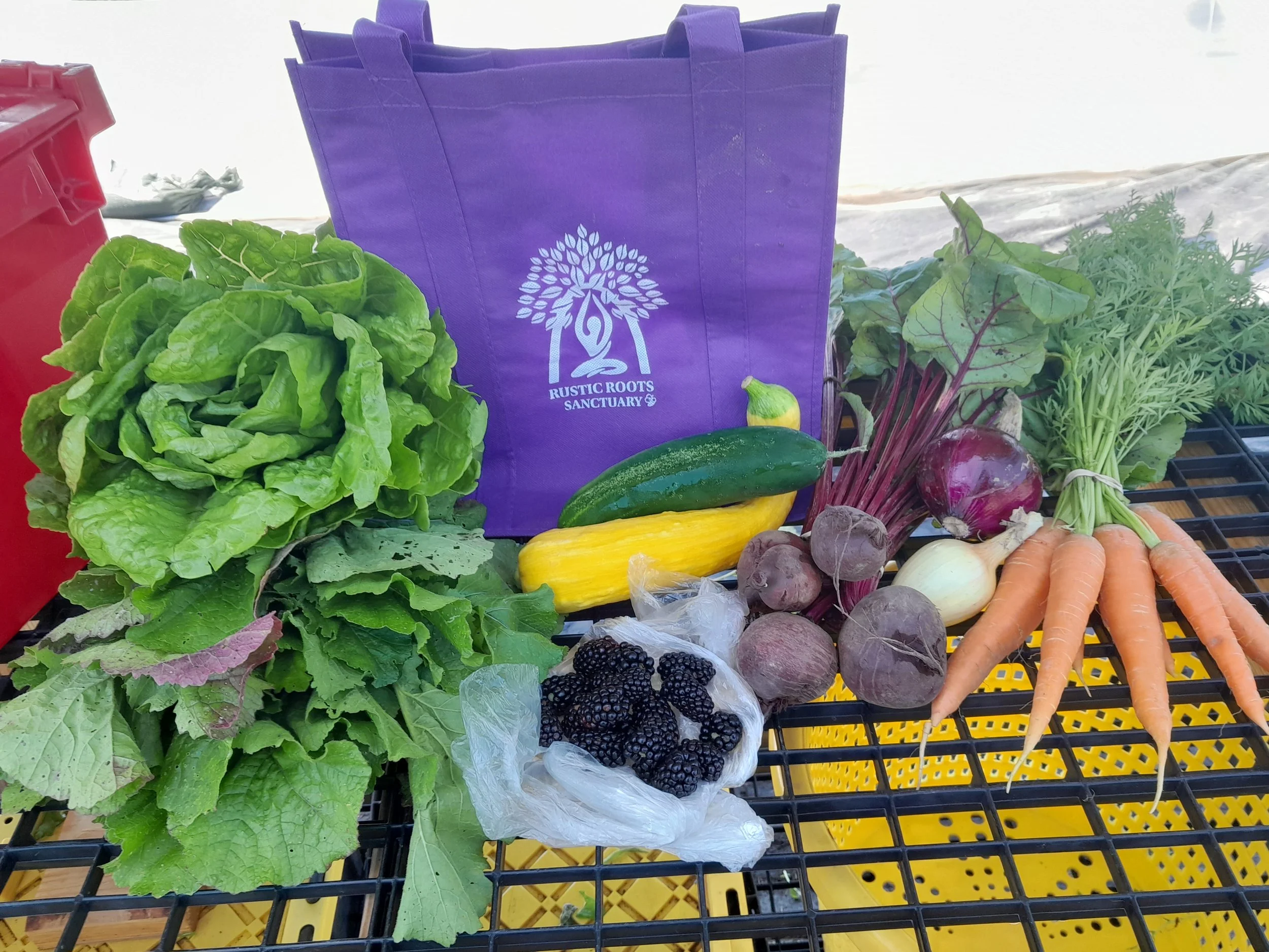 Senior Produce Program