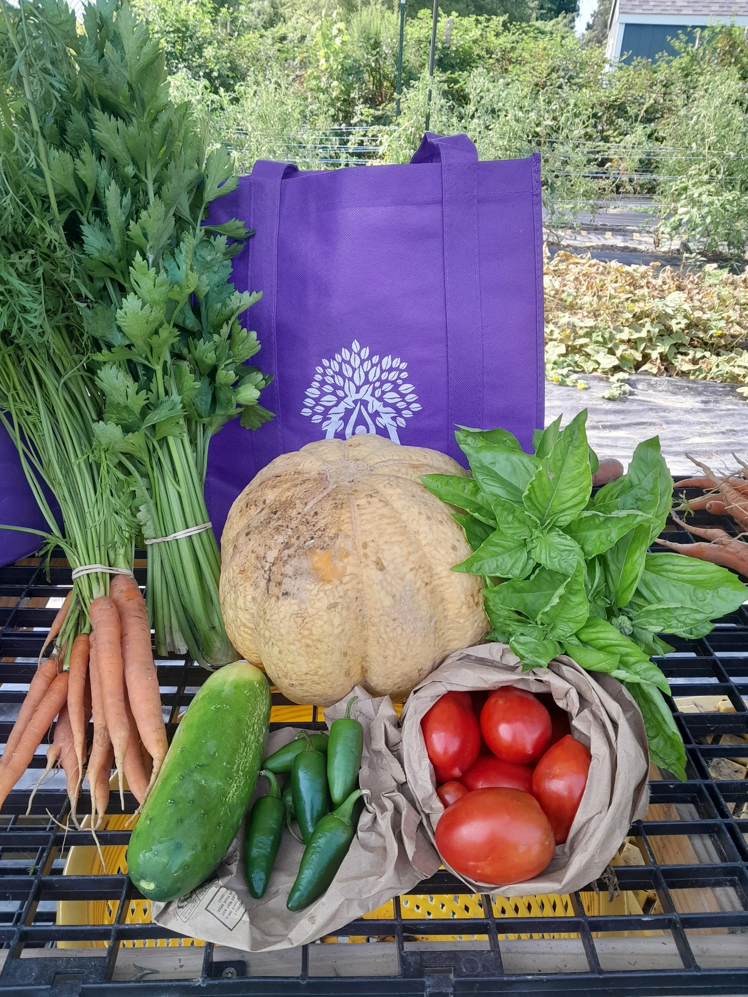 Young Families Produce Program