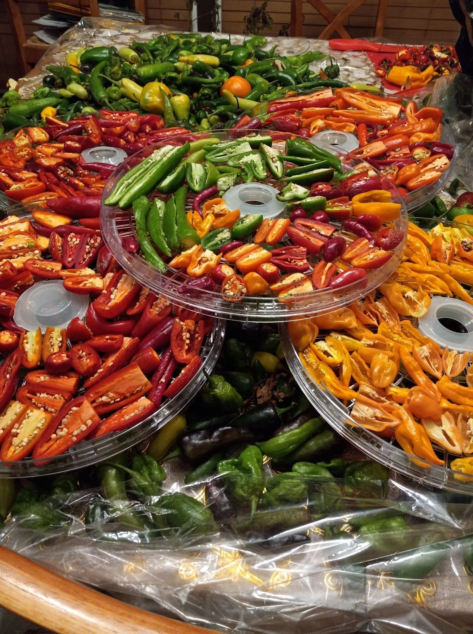 A large assortment of sliced peppers in various colors, including red, orange, yellow, and green, displayed in circular plastic trays on a table.