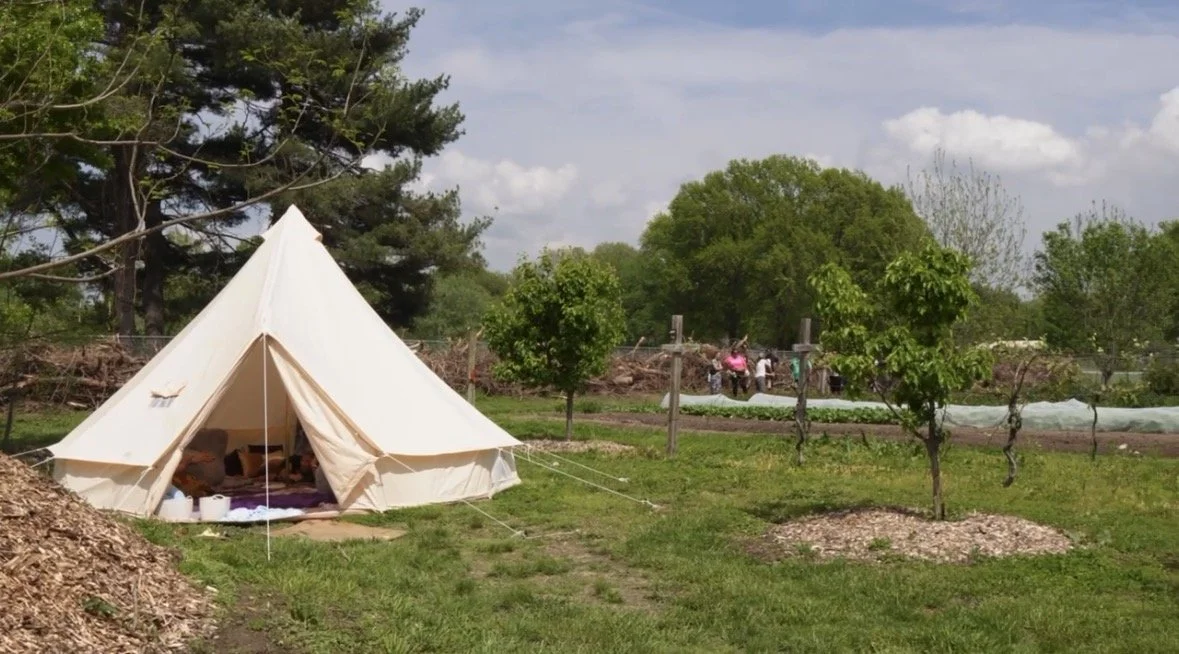 Family Camp Out
