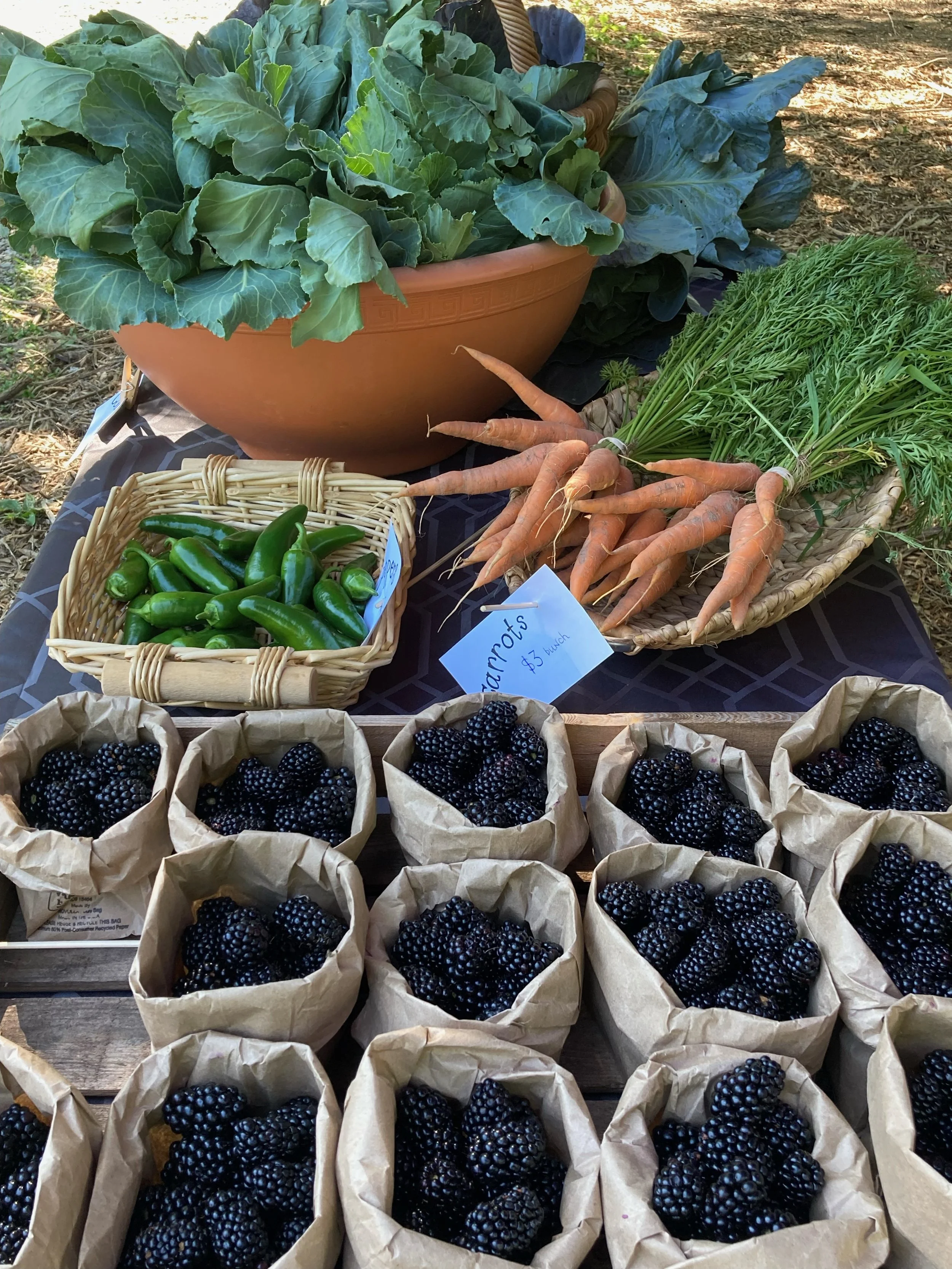 Fresh blackberries in paper bags, carrots, jalapeños, and leafy greens displayed on a table at an outdoor market.