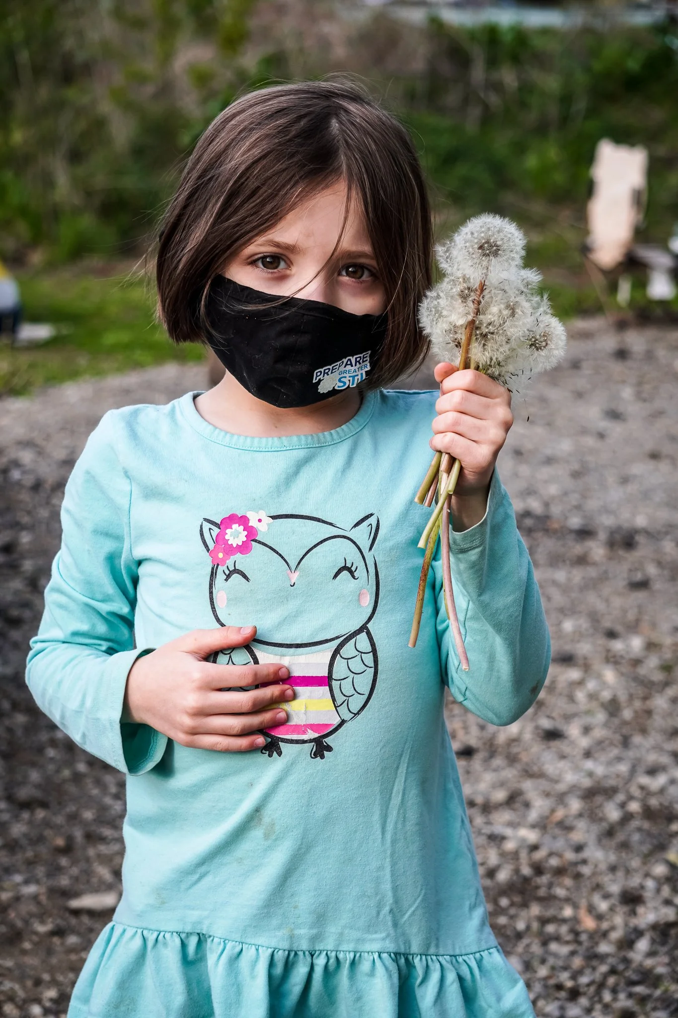 A young girl with short brown hair wearing a black face mask and a light blue dress with a cartoon owl on it, holding a bunch of dandelion seed heads in her right hand outside on a gravel surface with a blurred natural background.