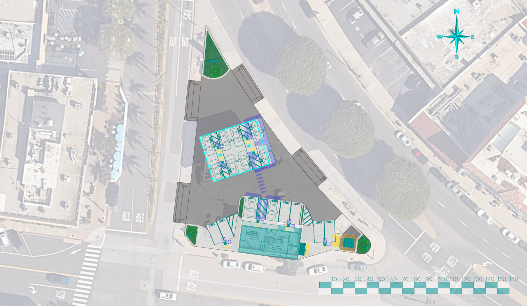 Site Design & Layout