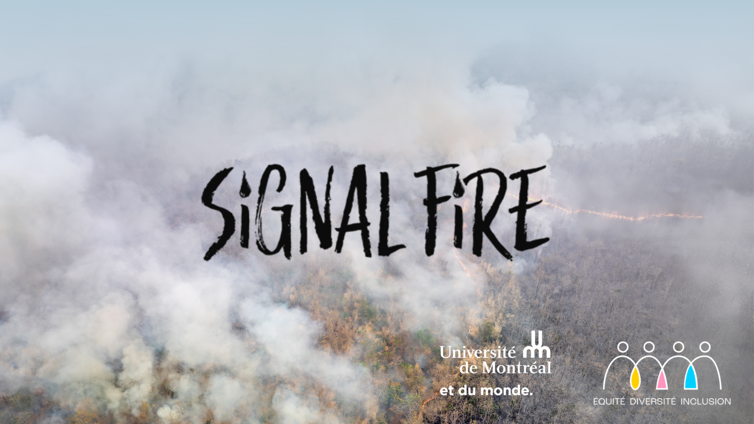 Animation du Film-Causerie 5 à 7 du Comité ÉDI-MIL