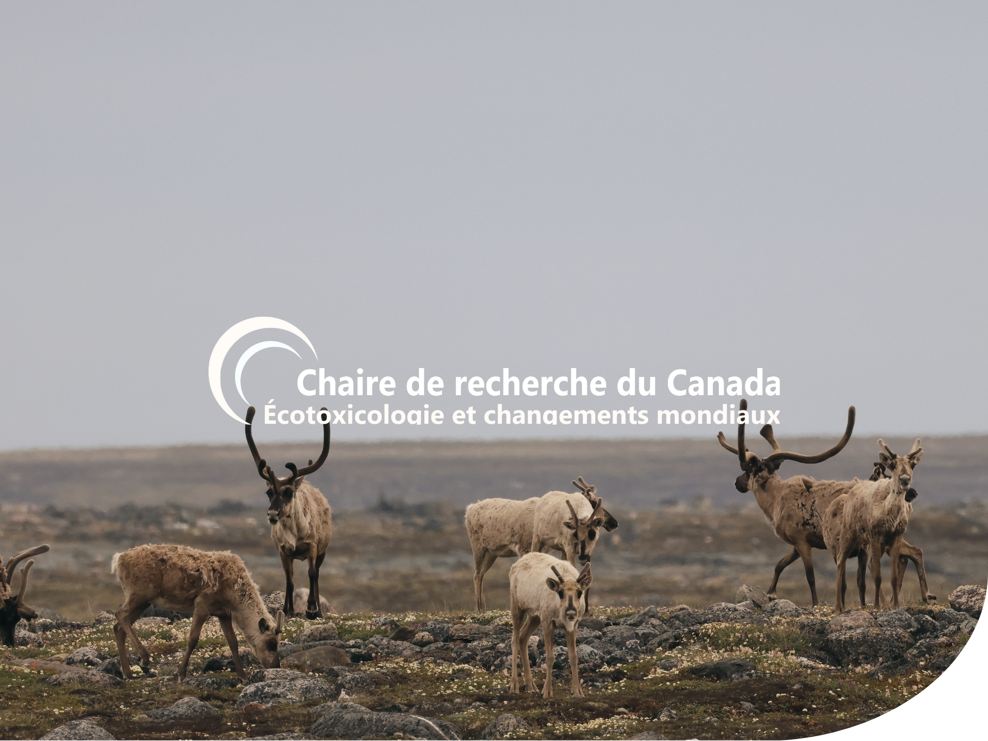 Formation à l’échantillonnage terrain en contexte nordique