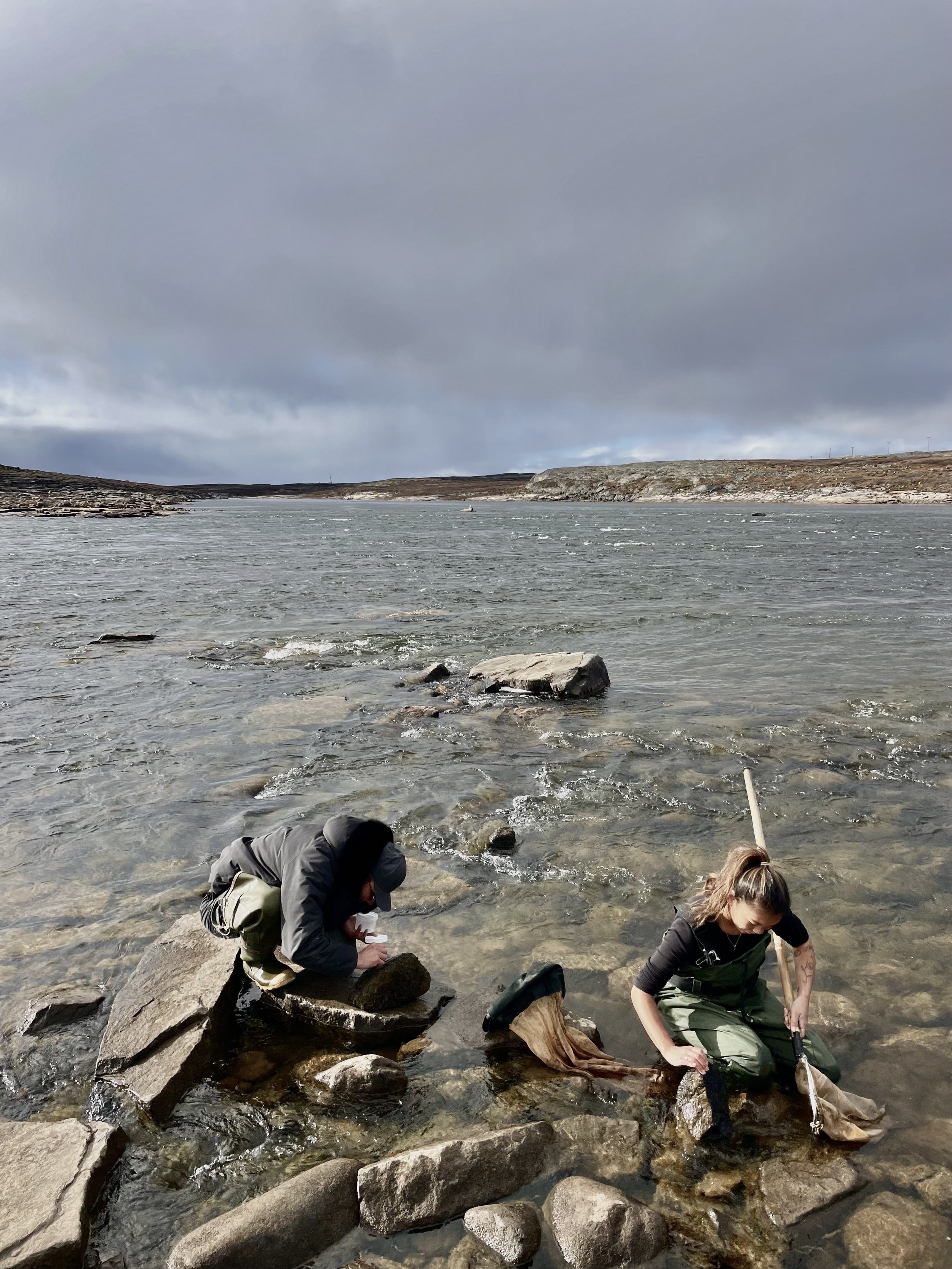 Deux personnes échantillonnant le benthos sur la rivière Innuksuac