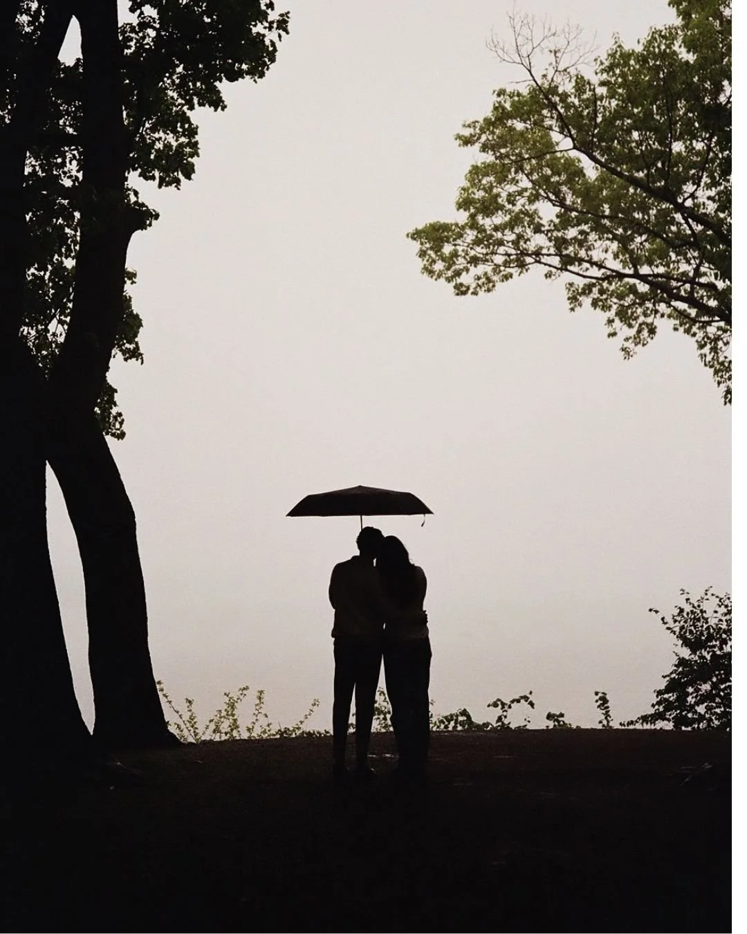 Silhouettes of a couple sharing a kiss under an umbrella in a park with trees and overcast sky.