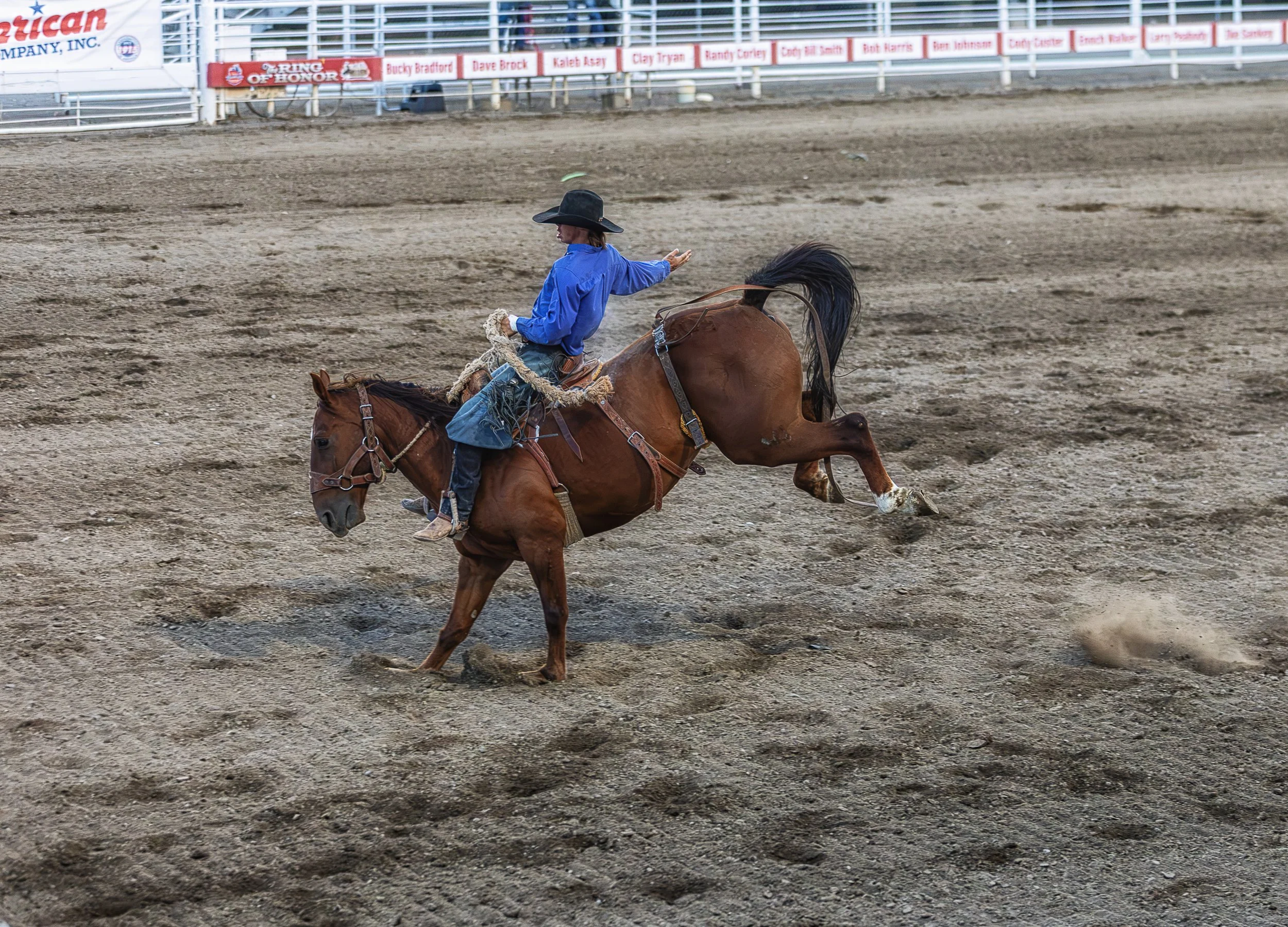 Saddle Bronc 1-.jpg