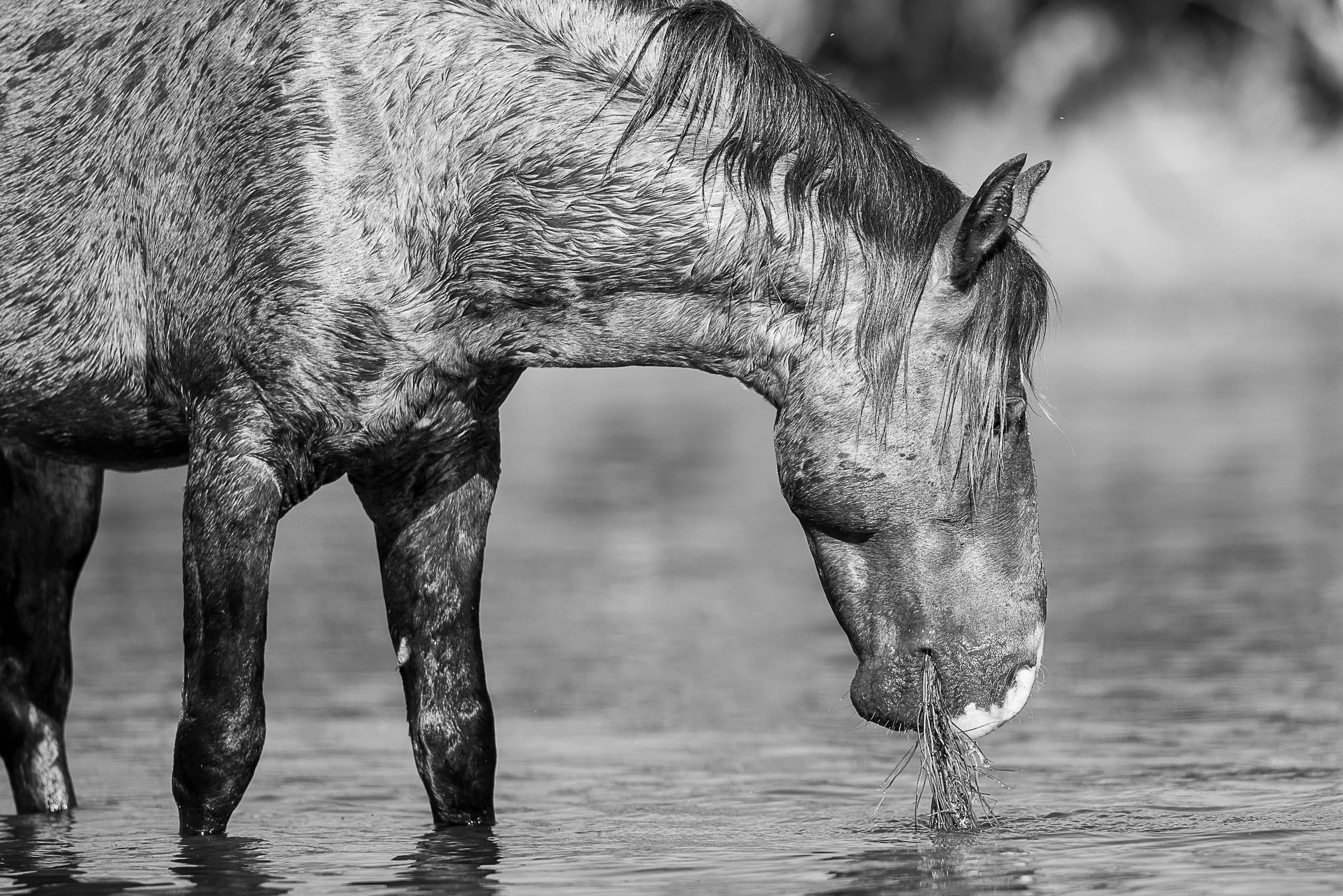 Eating - BW-7759.jpg