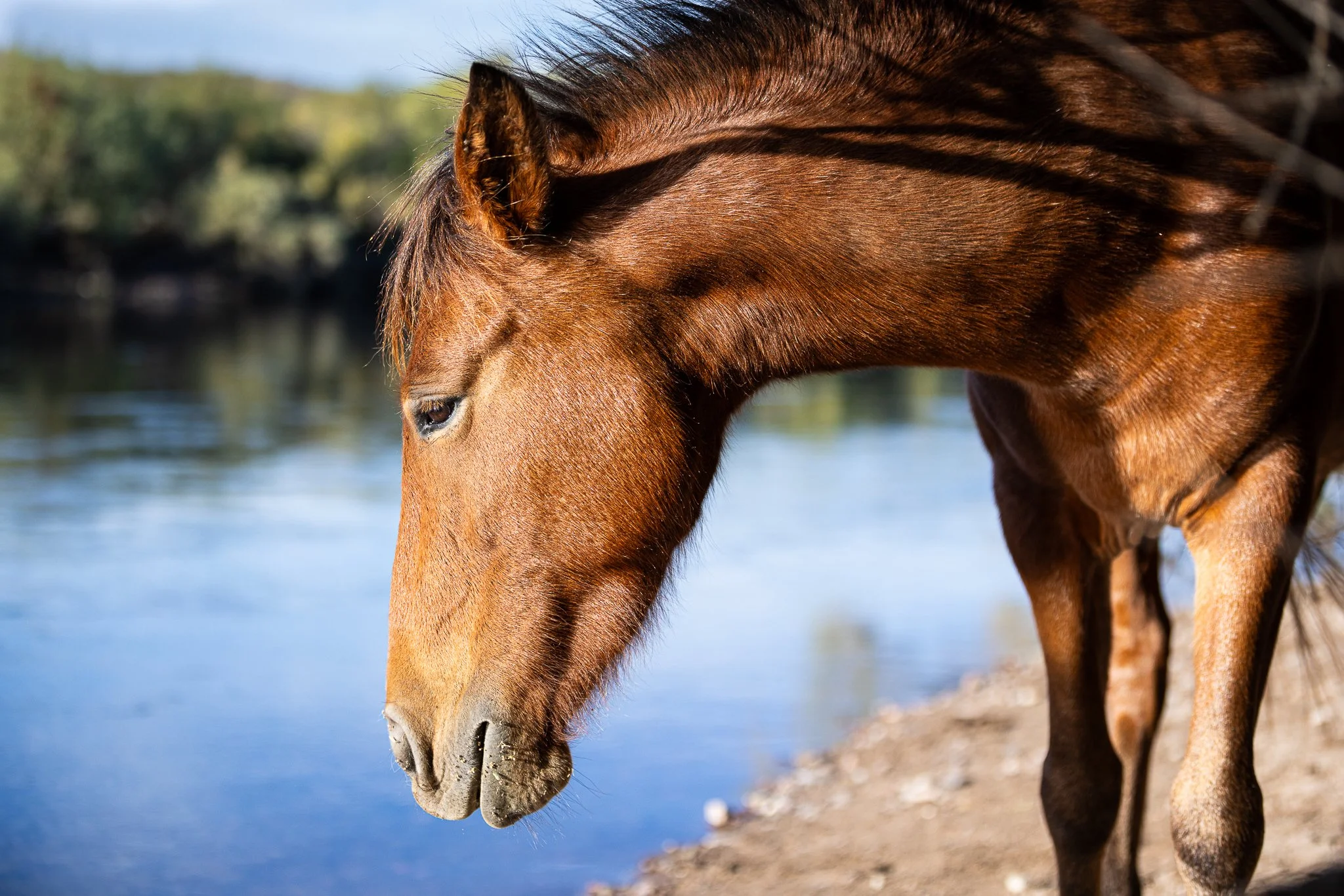 MyFriend-3037 (1).jpg