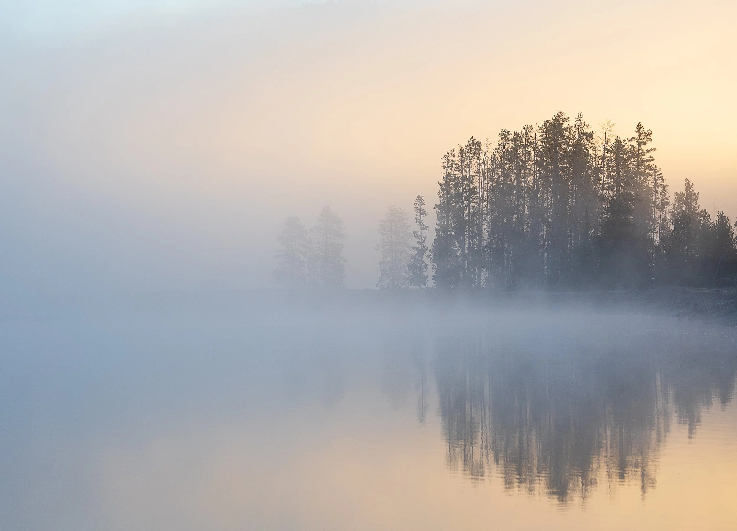 As the first light of morning warms the horizon, a quiet stand of evergreens emerges from a delicate blanket of fog. Their silhouettes reflect softly in the still waters below, while cool blues and gentle golden hues blend seamlessly across the lands
