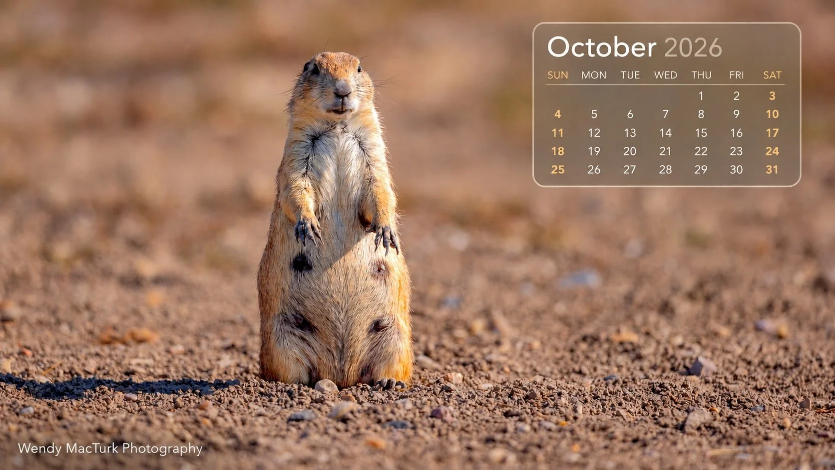 Prairie Dog October 2026 Wallpaper.jpg