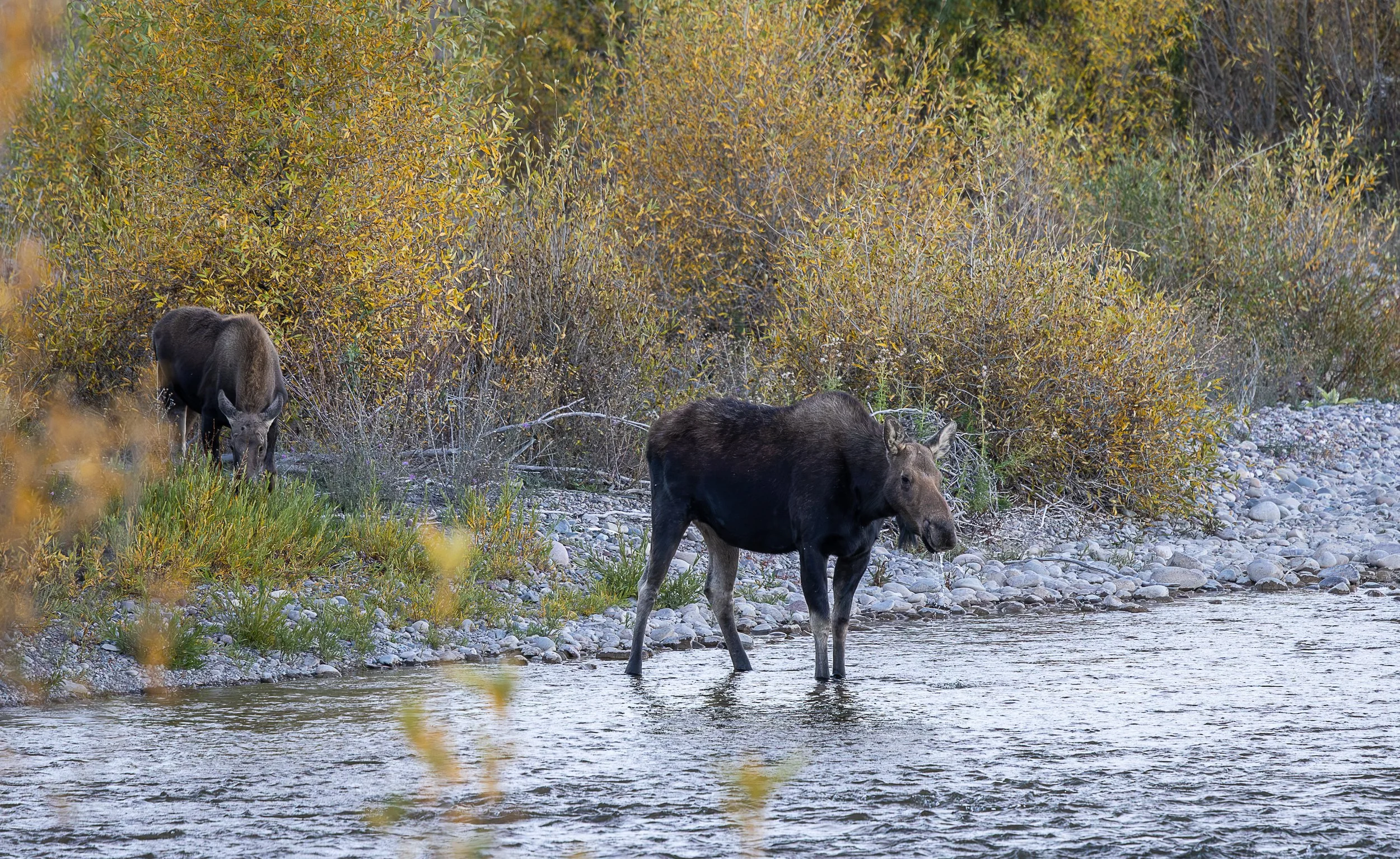 Grand Teton National Park