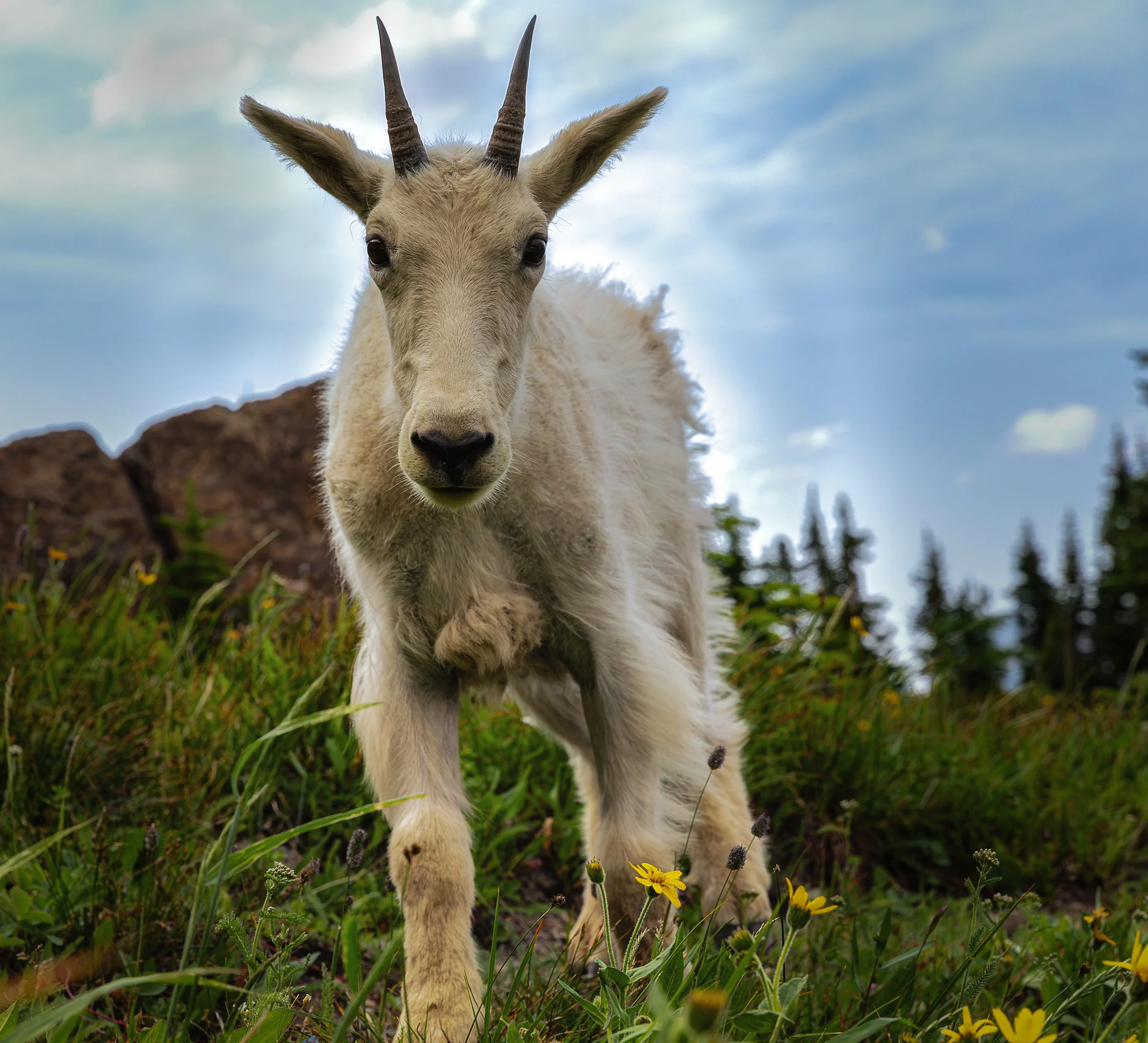Glacier National Park