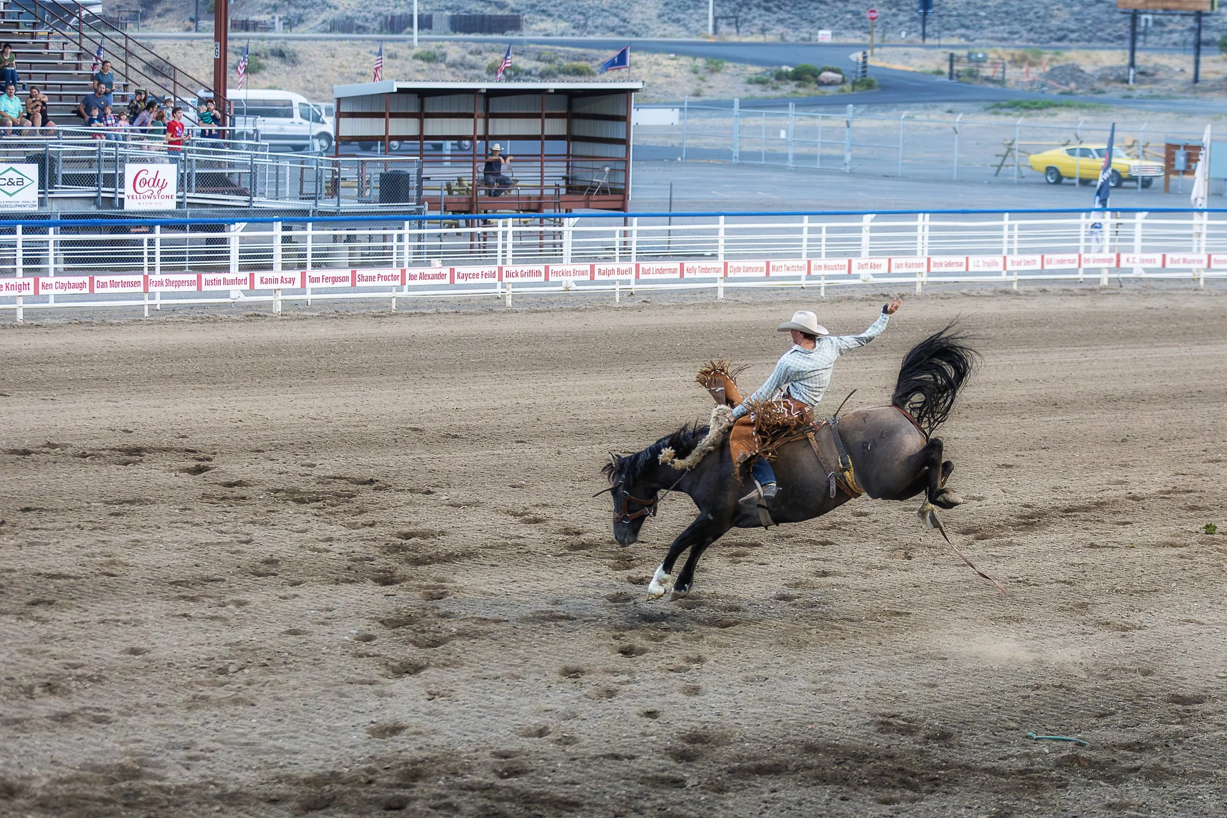 Saddle Bronc 2-.jpg