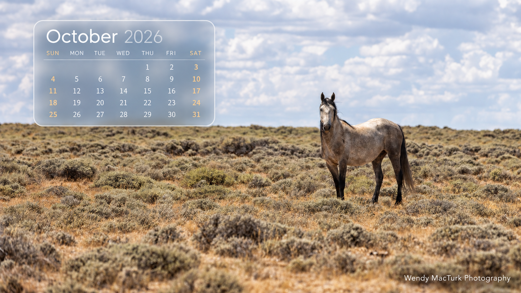 October Wild Horse.png