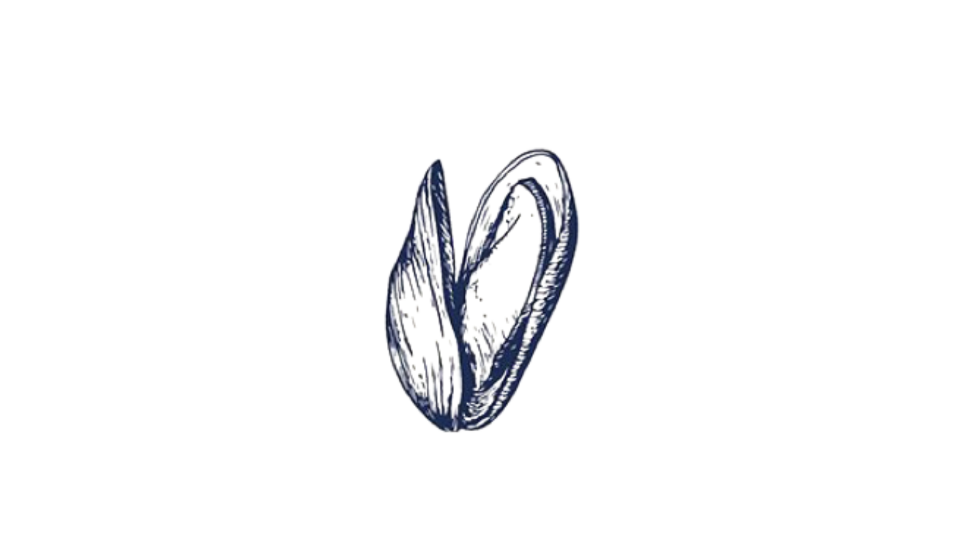 Live Music at the Salty Snapper