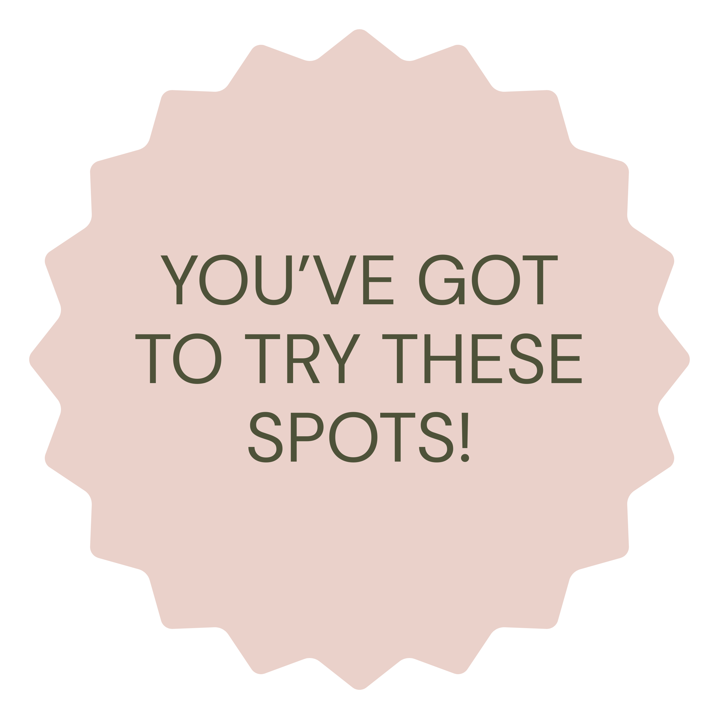 A badge with a scalloped edge featuring the text "YOU'VE GOT TO TRY THESE SPOTS!" in green on a light pink background.