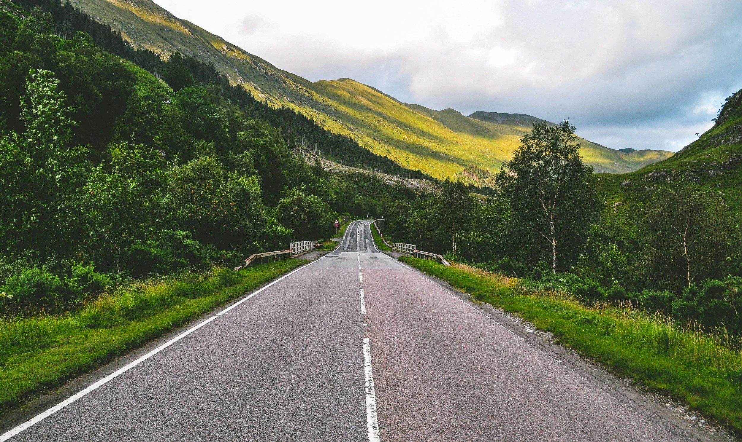 paved road stretching into green mountains