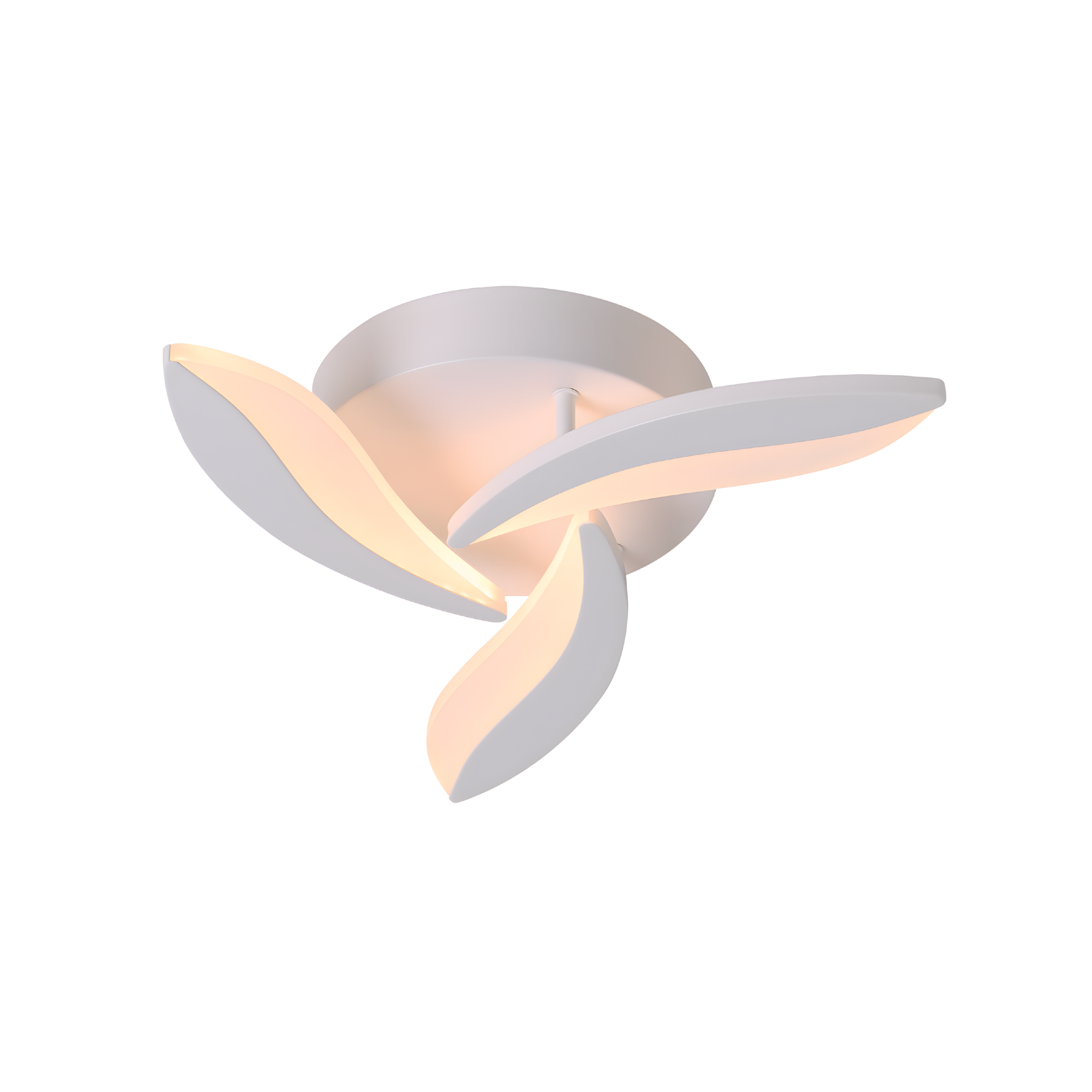 Xylona 3