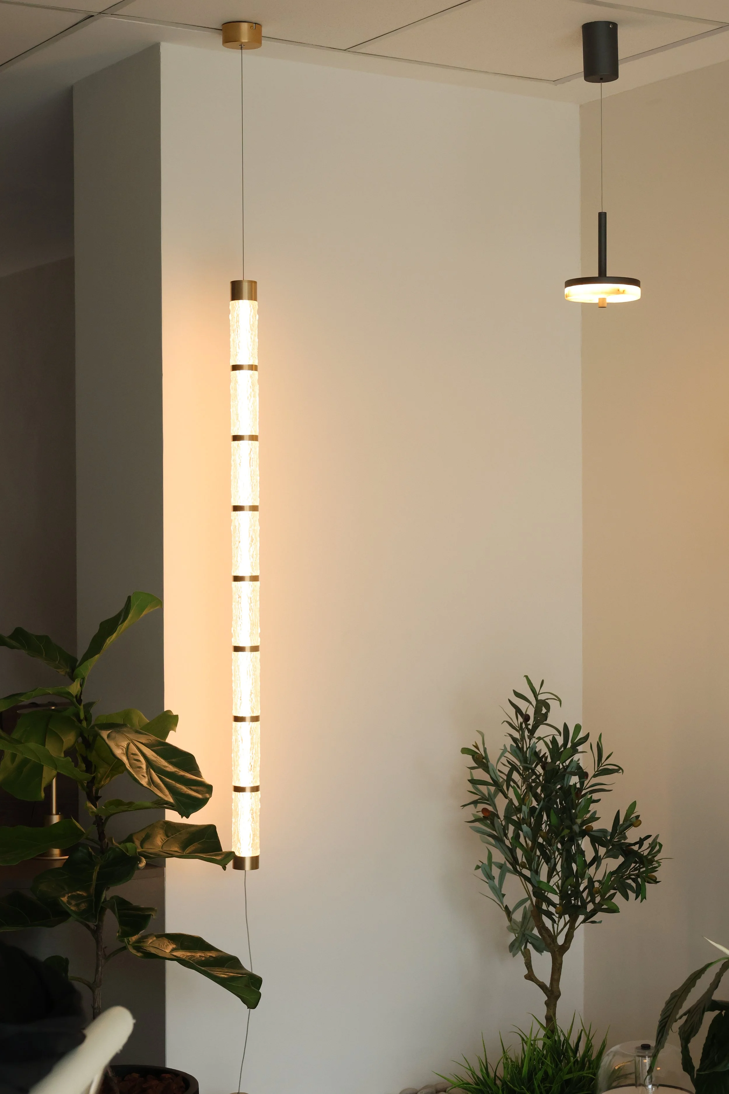 A corner of a room with a vertical hanging lamp on the left and a ceiling light on the right. There are various indoor plants with green leaves at the bottom.