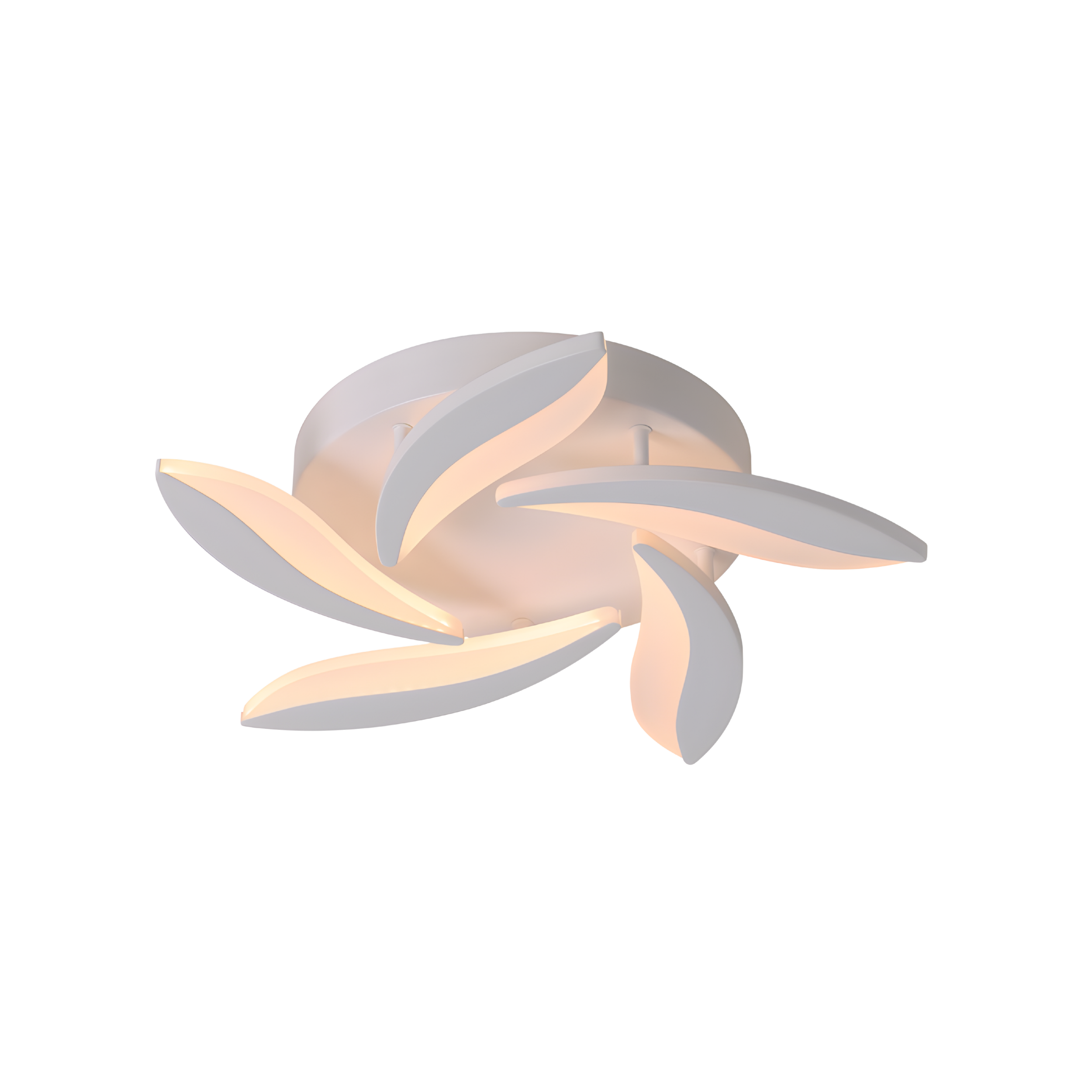 Xylona 5