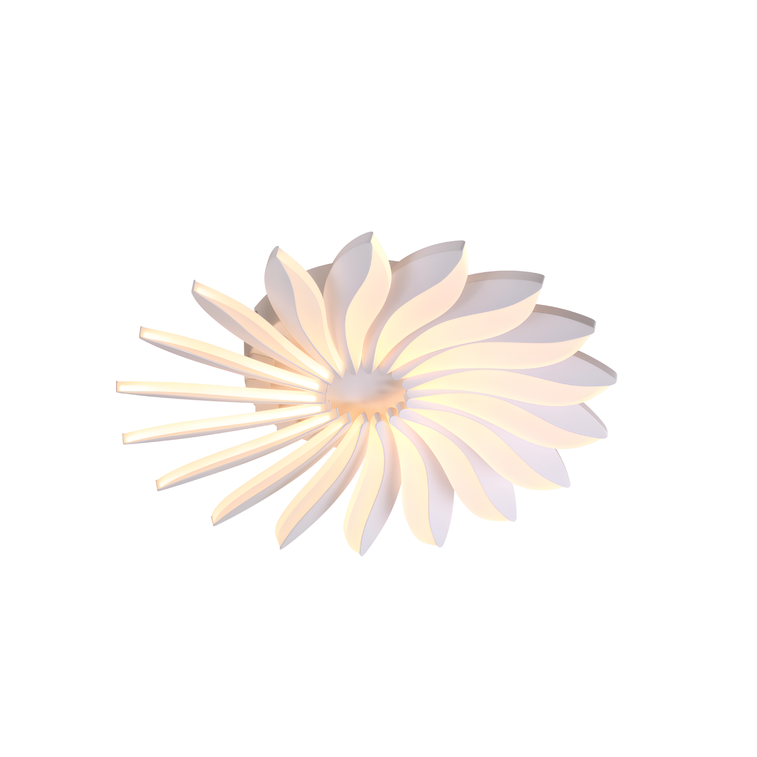 3L Xylona