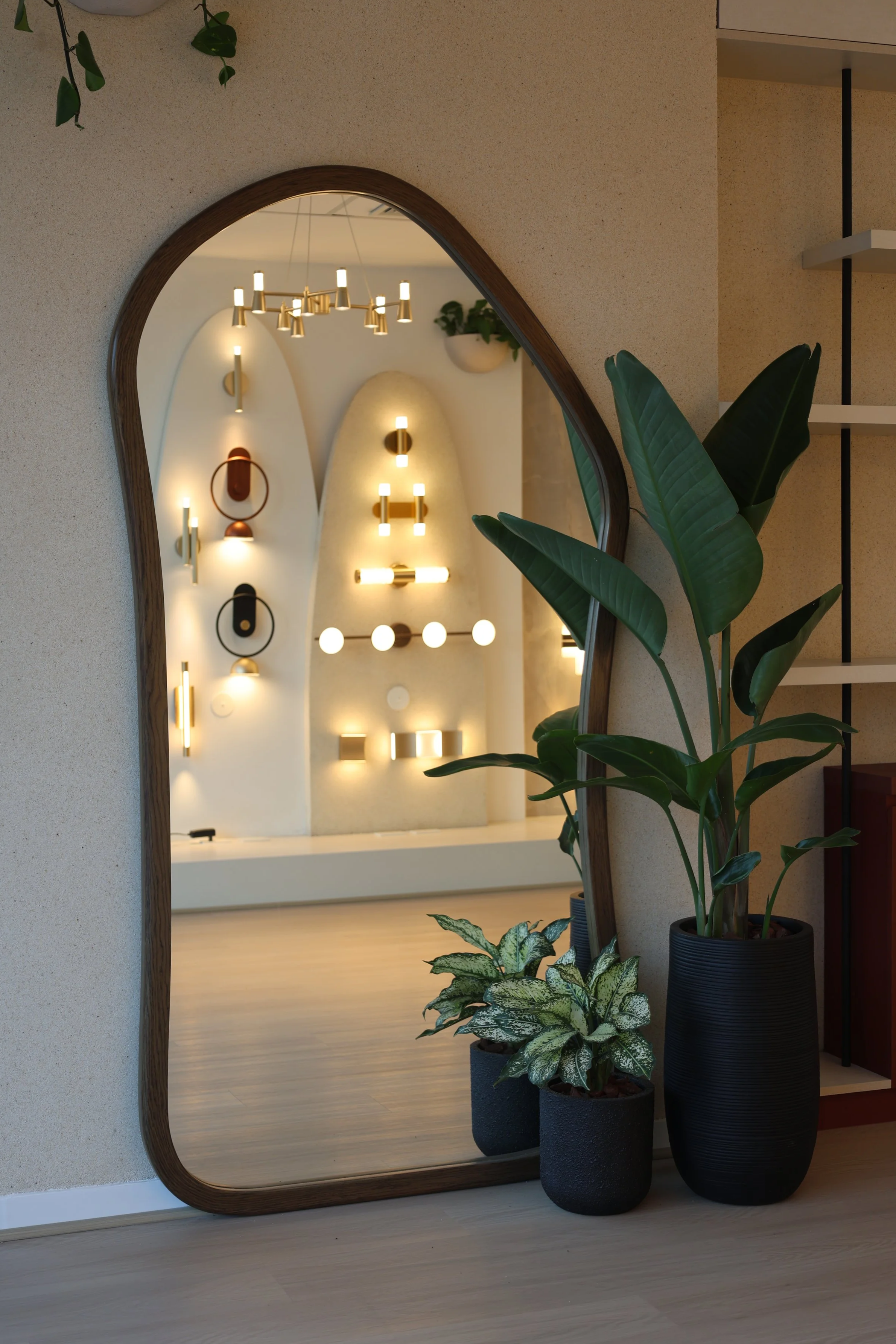 A large, curved wooden-framed mirror reflects modern wall lights and a ceiling light fixture inside a room. In front of the mirror, there are three potted plants with broad green leaves, placed on the floor near a wall with beige wallpaper.