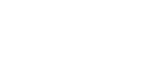 Dixie LLC