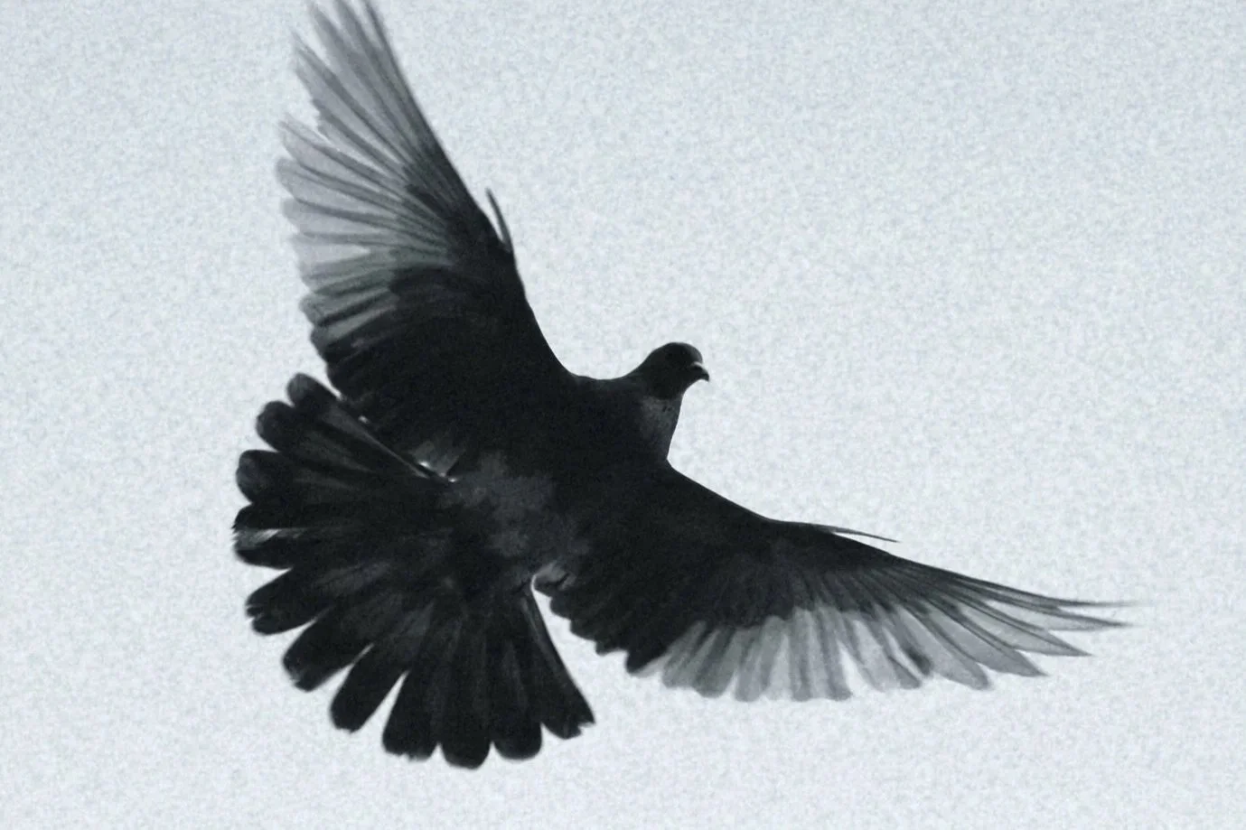 Birk Creative for Amnesty International 6.jpg