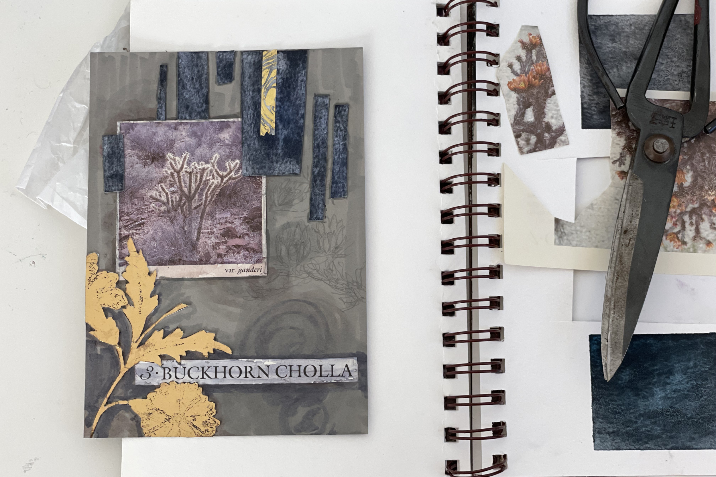 Mixed media visual journal spread featuring desert imagery