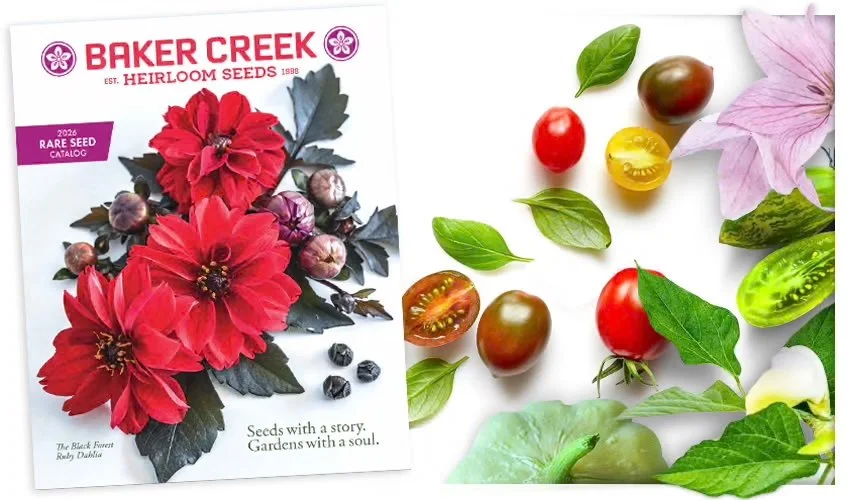 Baker Creek Seed Catalog Cover
