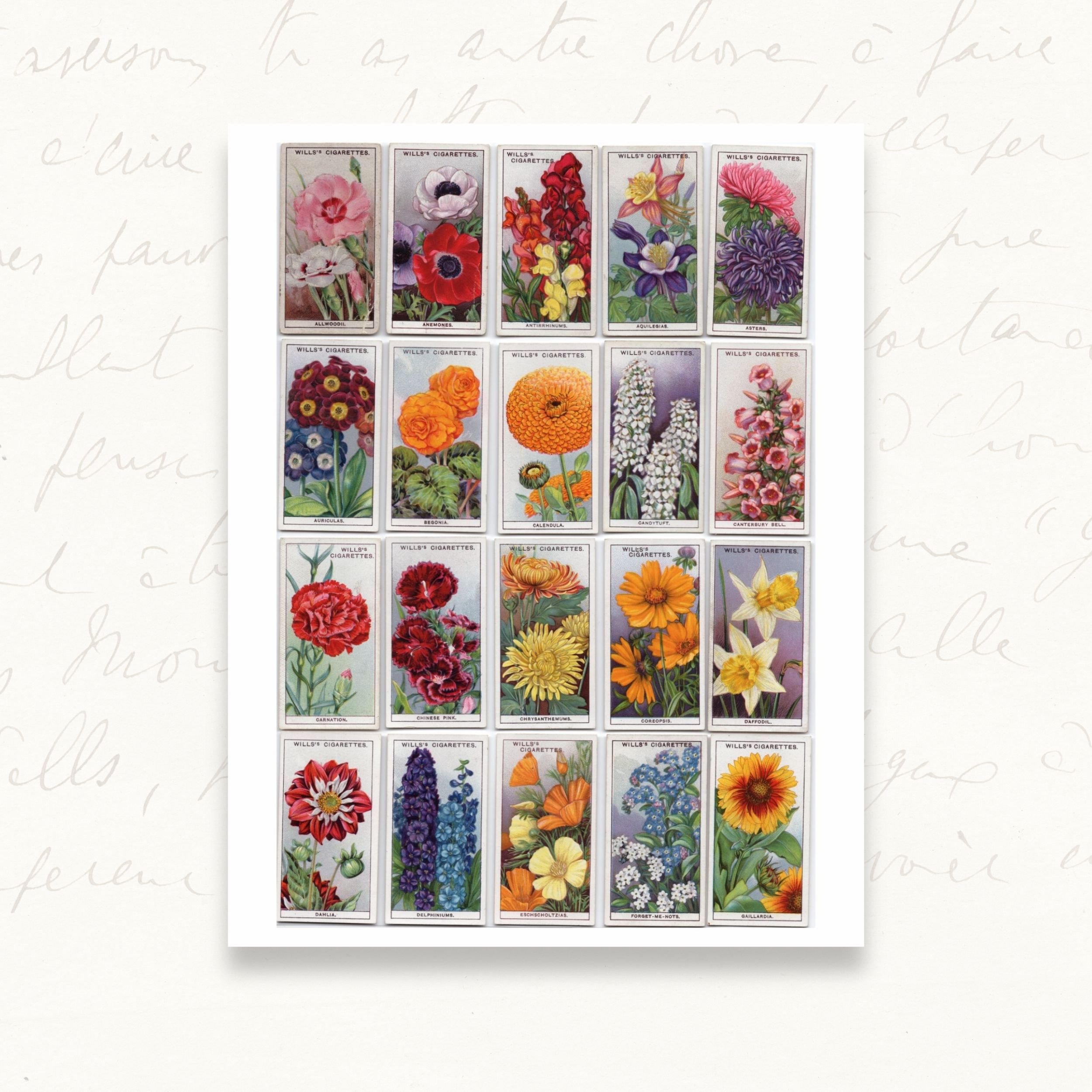 Vintage Garden Flowers