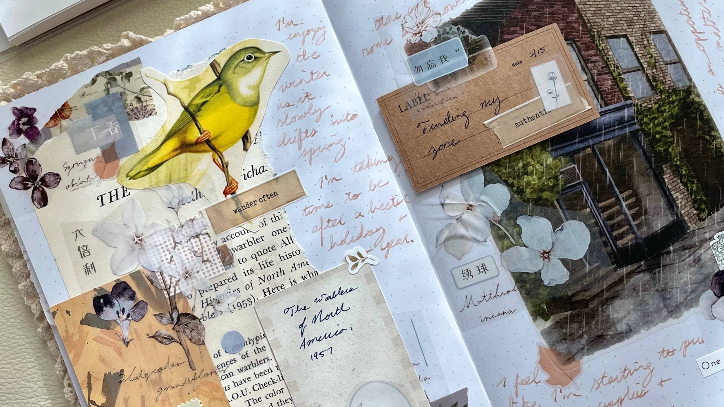 Where To Find “Junk” for Junk Journaling