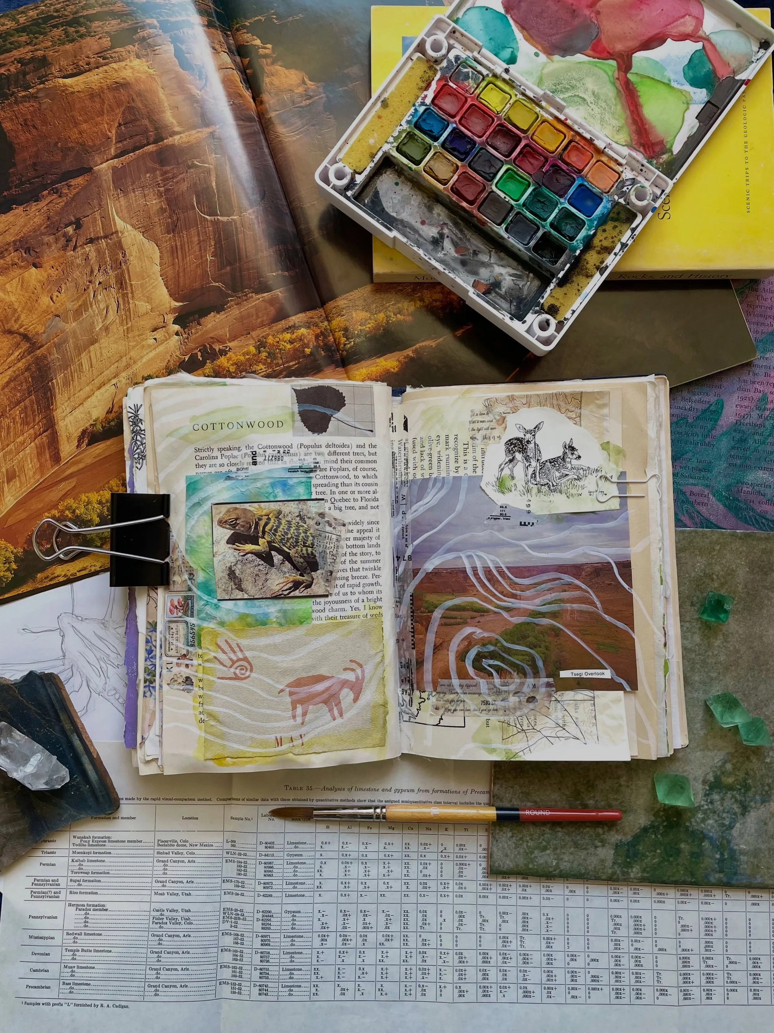 Sunday pages in my nature journal, celebrating late spring in the New Mexico desert.🏜️ #naturejournal #newmexicoart #junkjournalpages