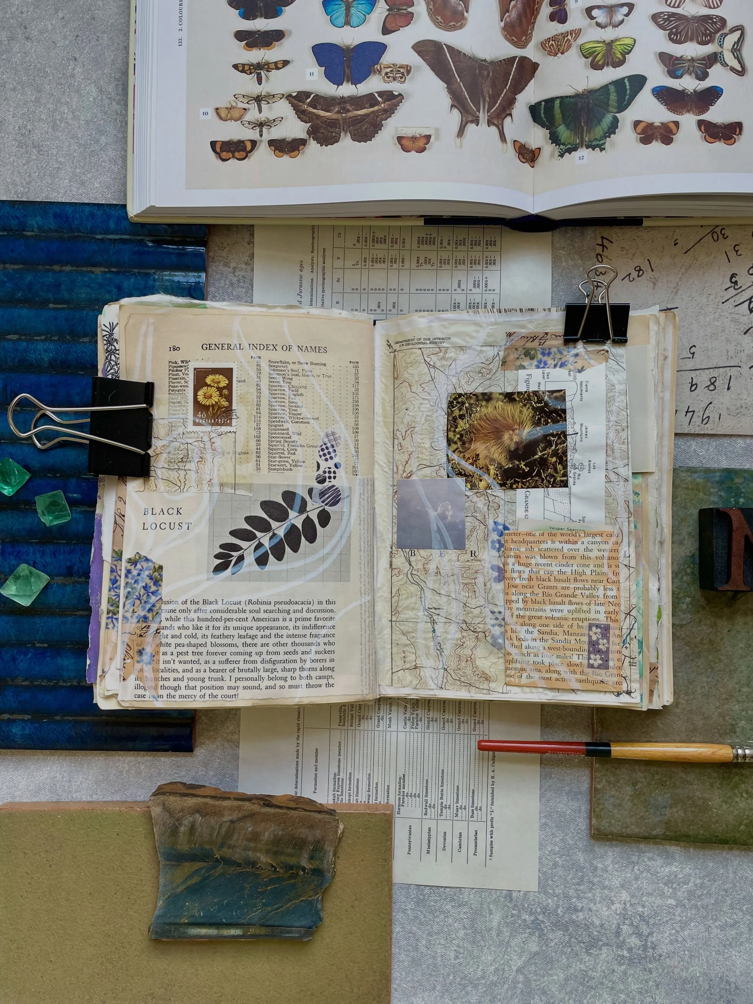 A recent spread in my nature journal, featuring an old map of my city printed on tissue paper and a little pocket for a vintage bird trading card. I just love old topographical maps! That rippling line work creates so much dimension in a collage. #vi