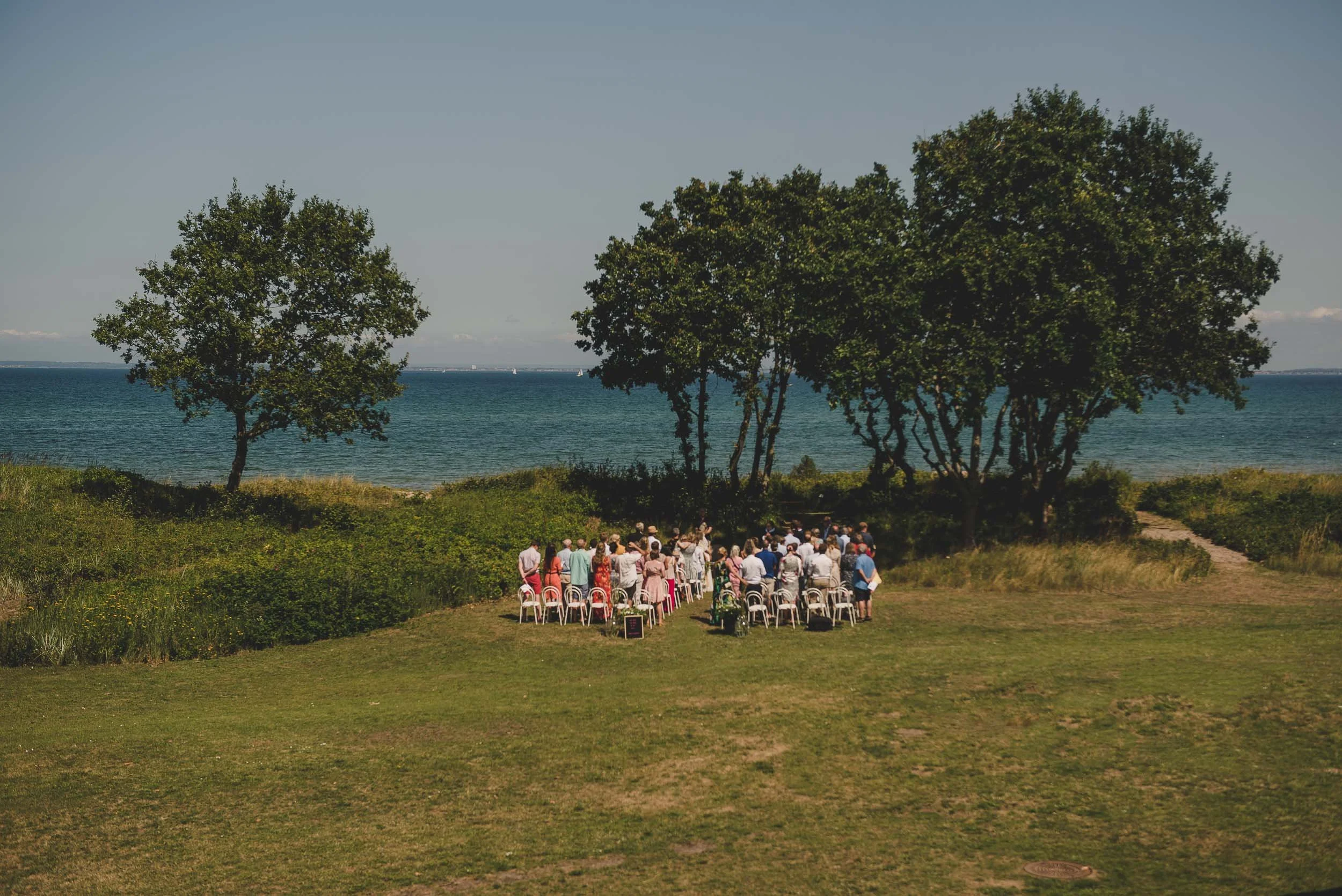 DSC_7885-Edit.jpg