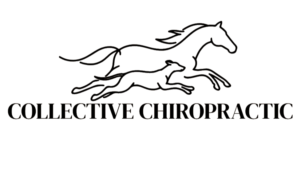 COLLECTIVE CHIROPRACTIC