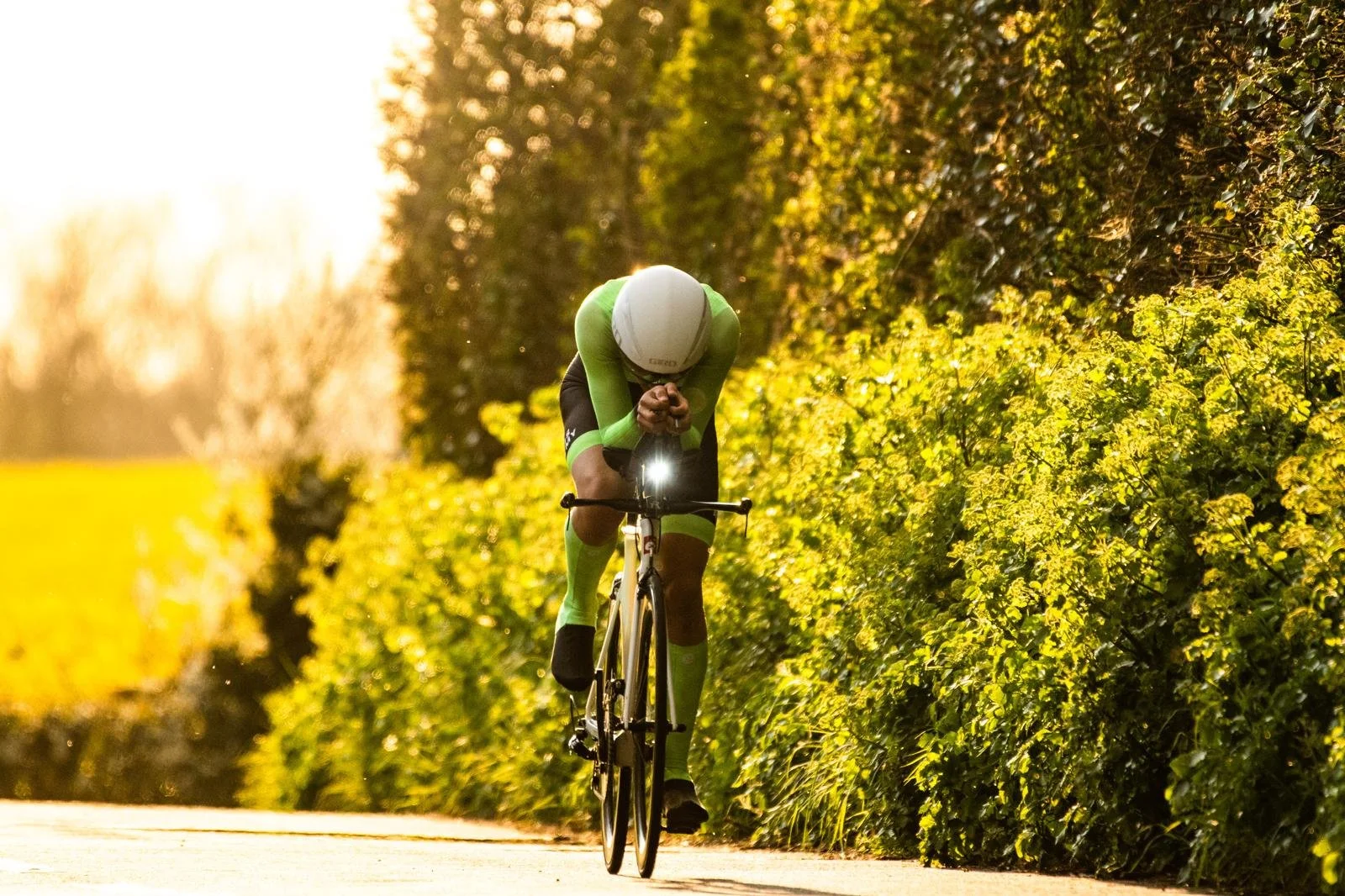 A cyclist in green and black gear riding on a path lined with lush bushes during sunset.