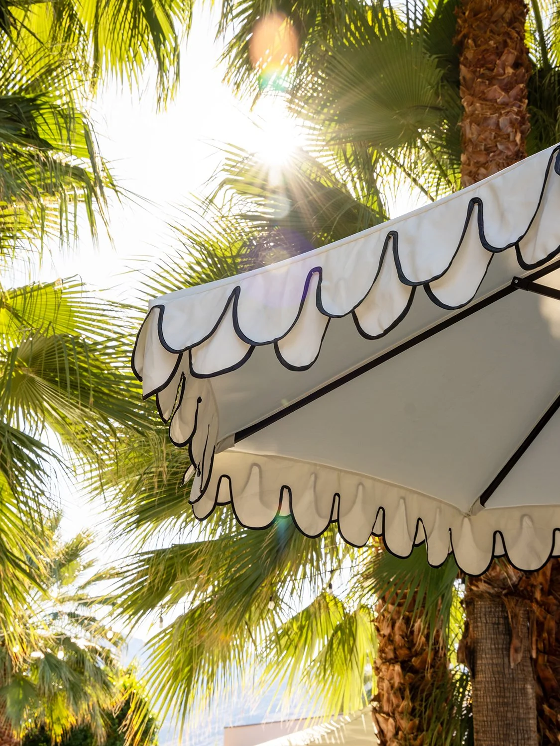 Sunlight shining through palm trees over a white outdoor umbrella with black trim.