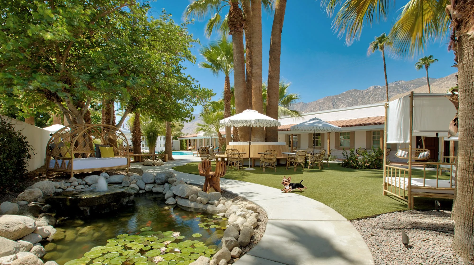 A backyard with a pond, trees, outdoor furniture, umbrellas, and a dog running on the grass under a bright blue sky with mountains in the background.
