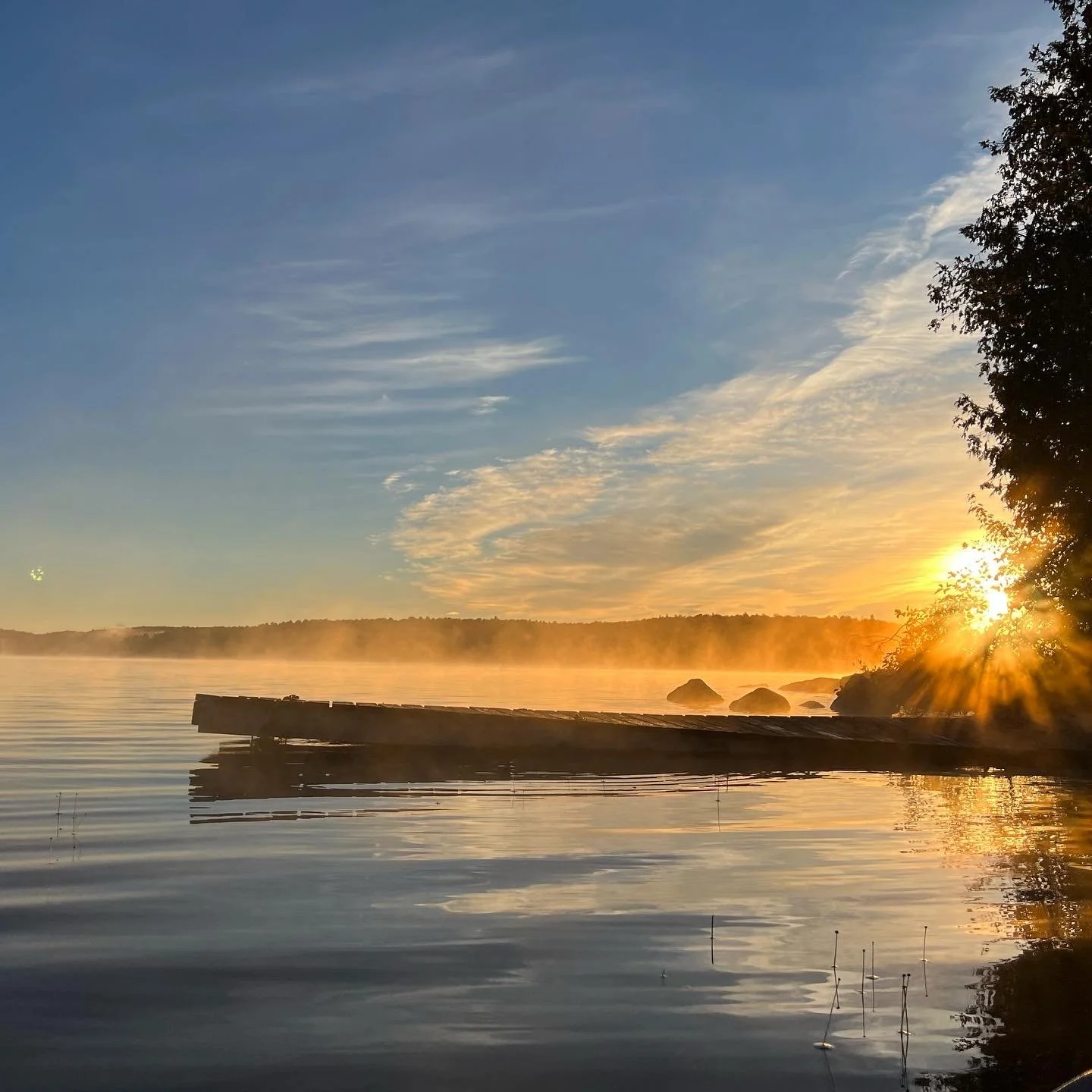 Sunrise over a calm lake with a dock, mist rising from the water, and trees on the right side.