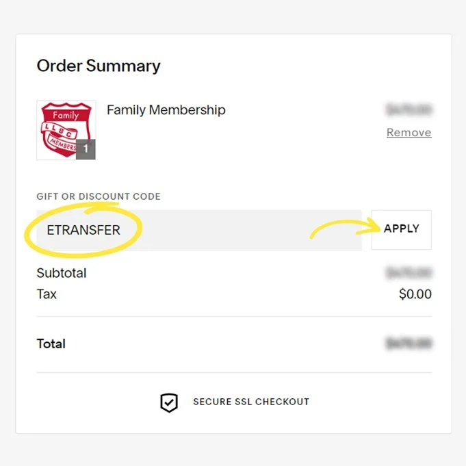 Etransfer Example.jpg