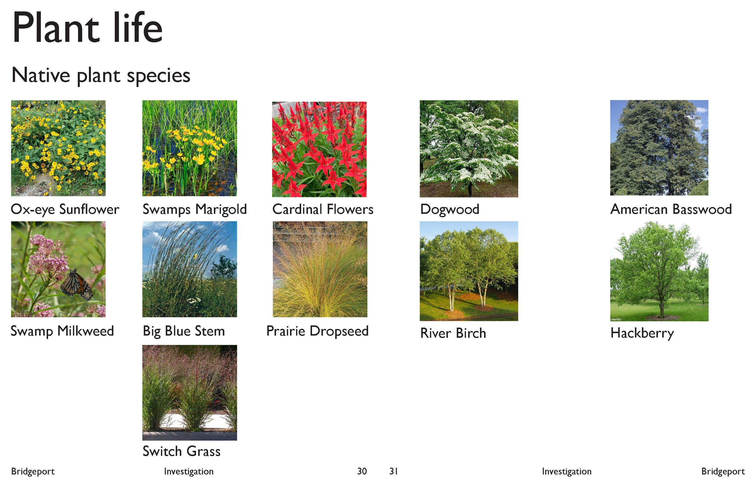 Pages from chicago_riverwalk_seminar_final_Page_14.png
