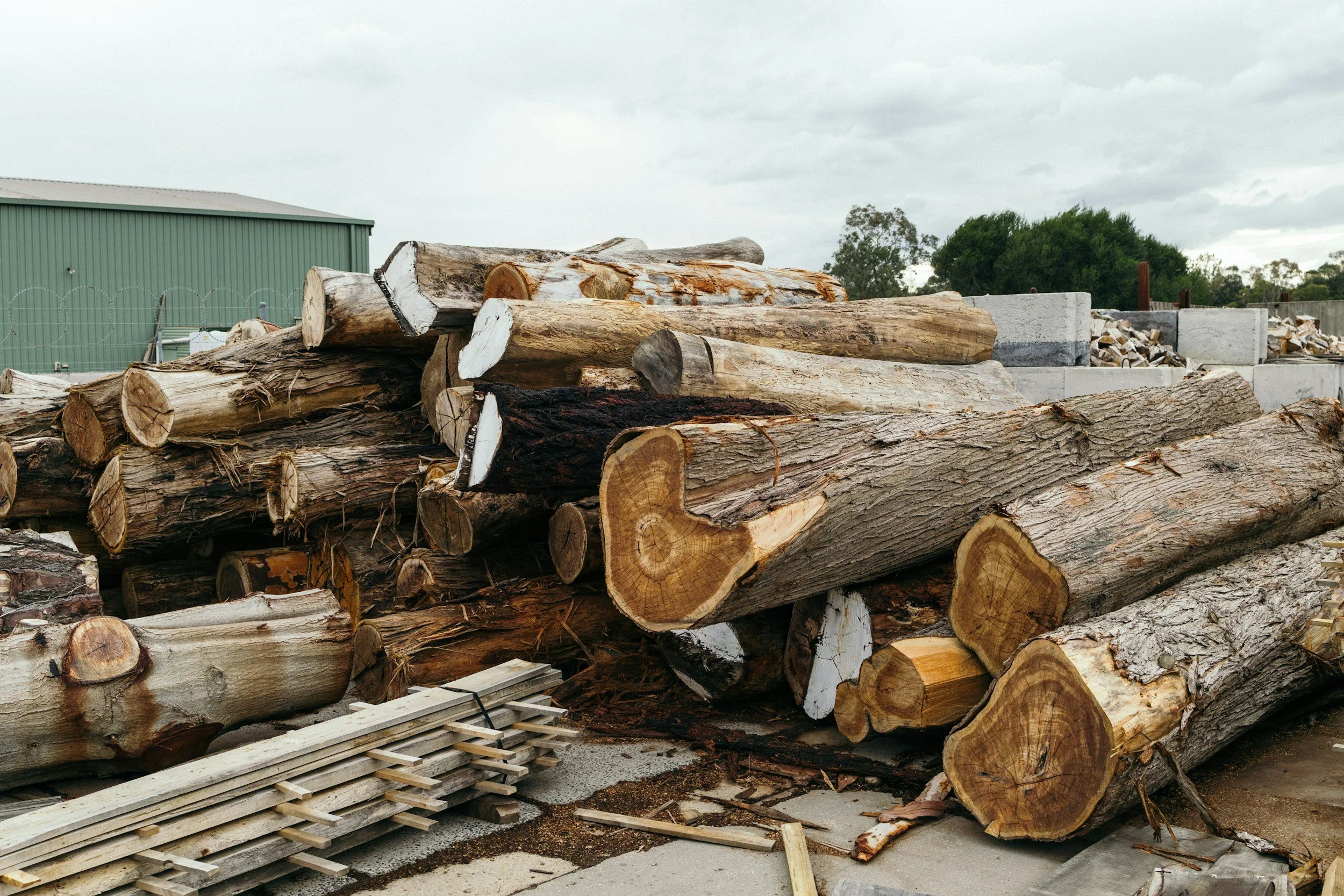 Pile of cut logs and wood planks outdoors near a green building with cloudy sky.