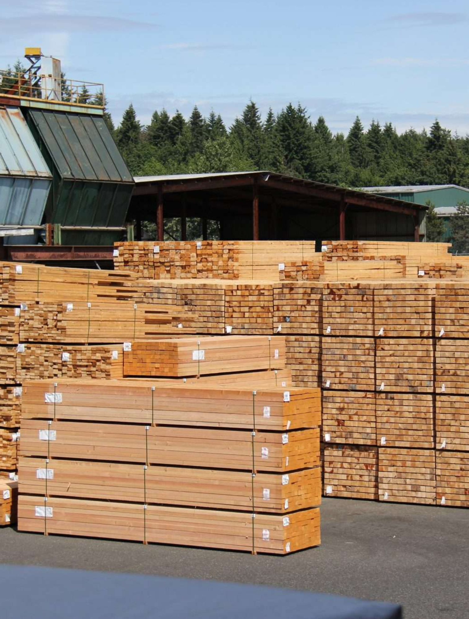 Piles of cut lumber stacked at a hardware yard with a forested background.