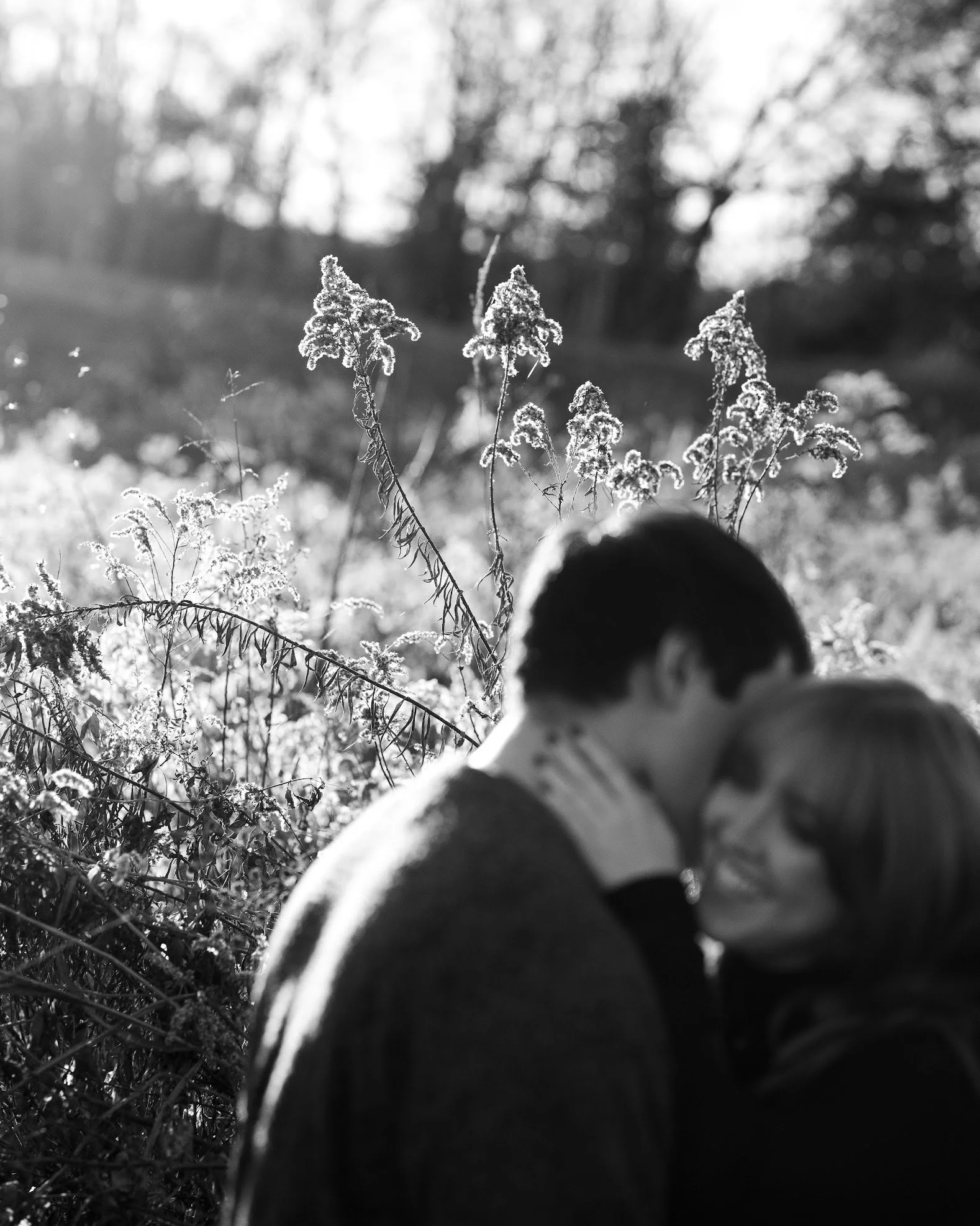 A black-and-white photo of a couple kissing outdoors in a field with tall plants and trees in the background.