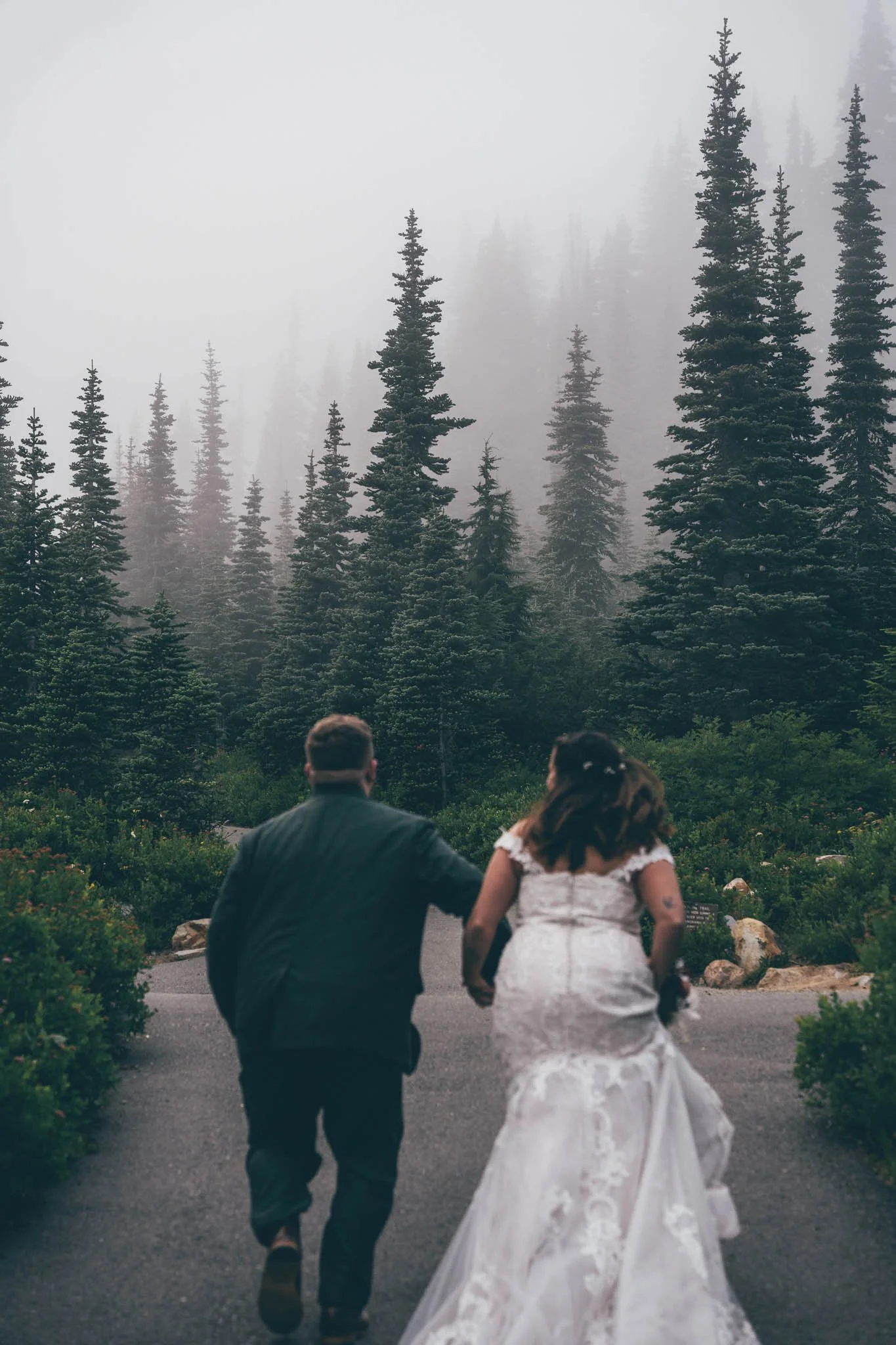A couple holding hands and walking away from the camera on a paved path surrounded by green bushes and tall pine trees, with foggy weather in the background.