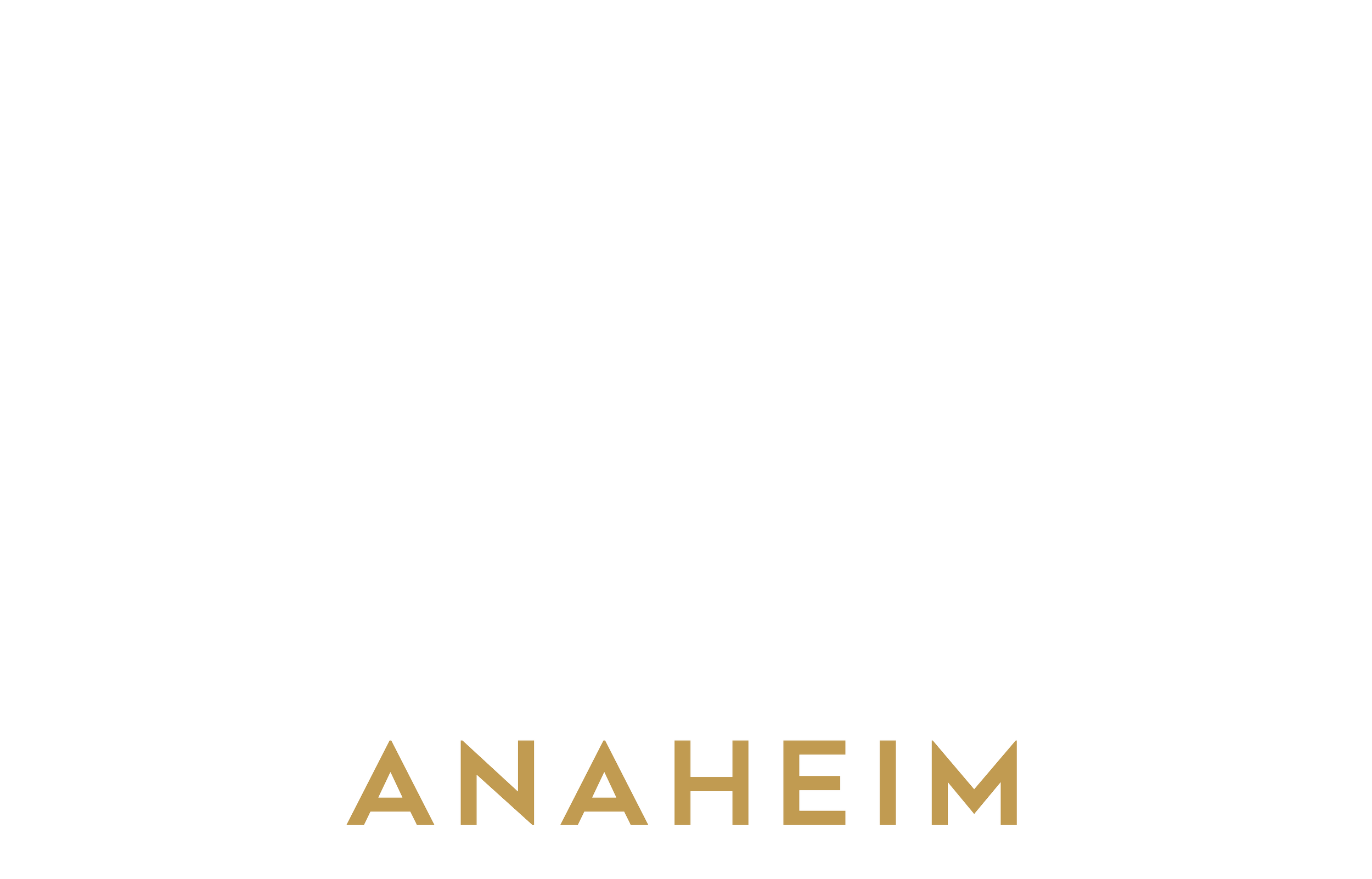 Logo for STOFY Bar + Kitchen in Anaheim, featuring the word 'STOFY' in large white stylized letters, with 'Bar + Kitchen' in smaller white letters beneath, and 'Anaheim' in gold letters at the bottom on a black background.